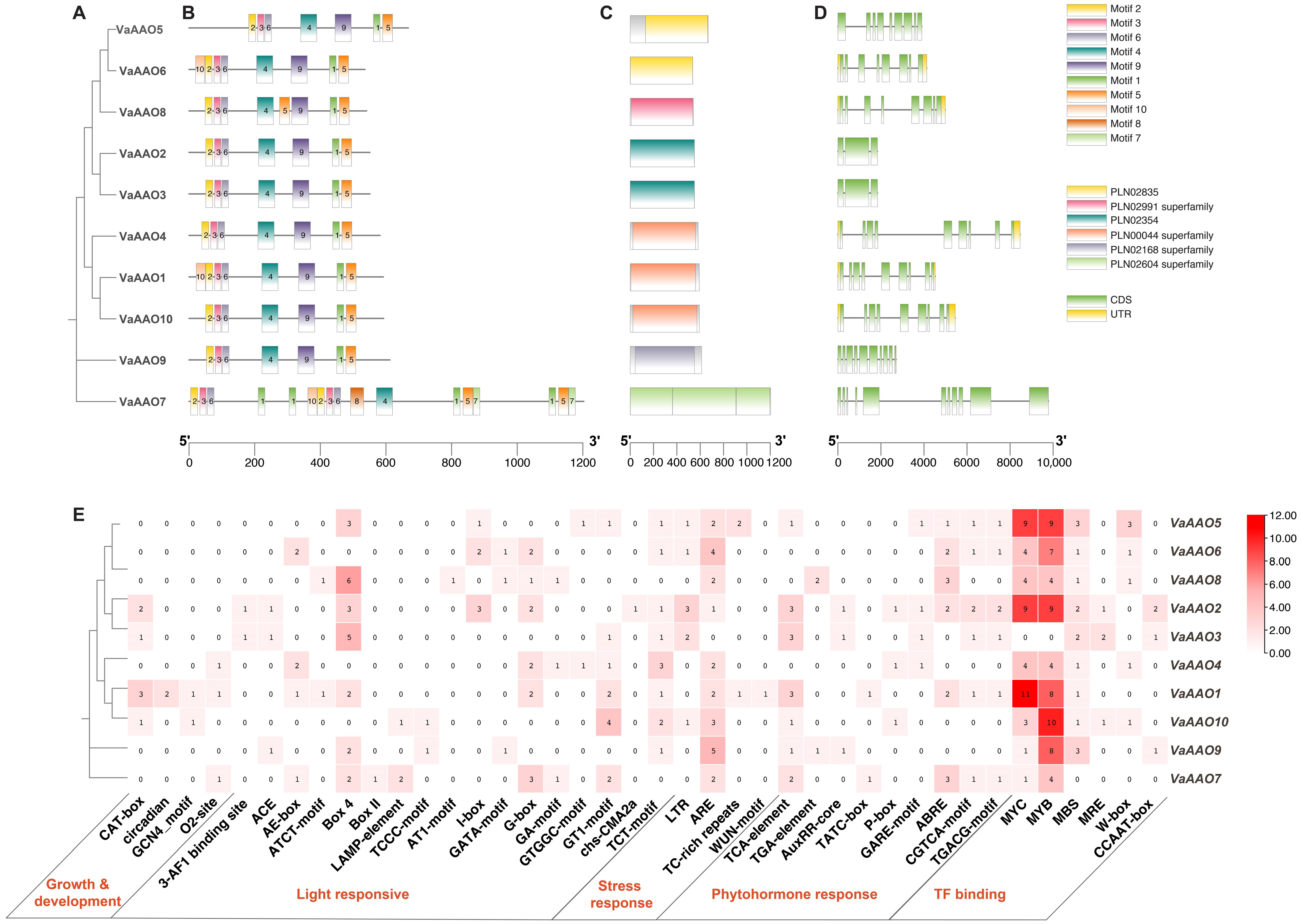 Horticulturae 11 01211 g003
