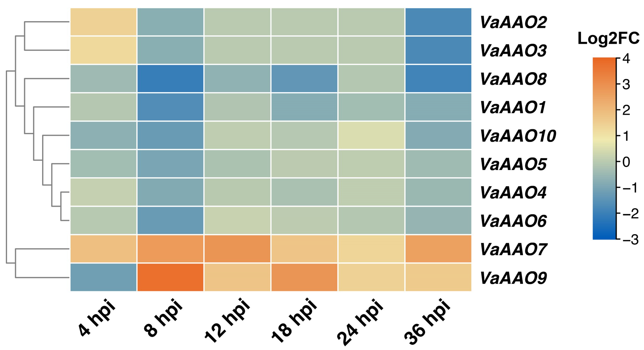 Horticulturae 11 01211 g004