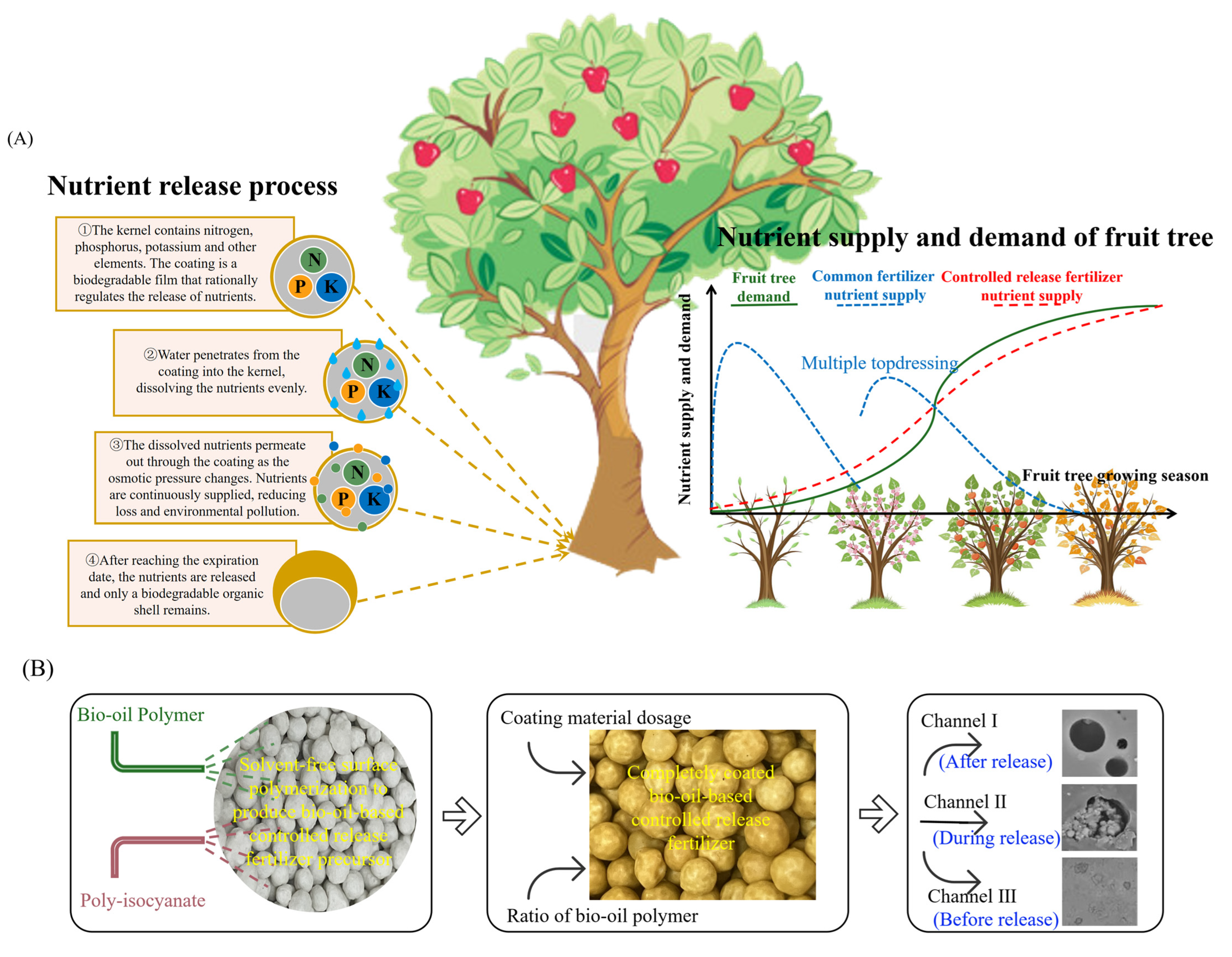Horticulturae 11 01215 g001