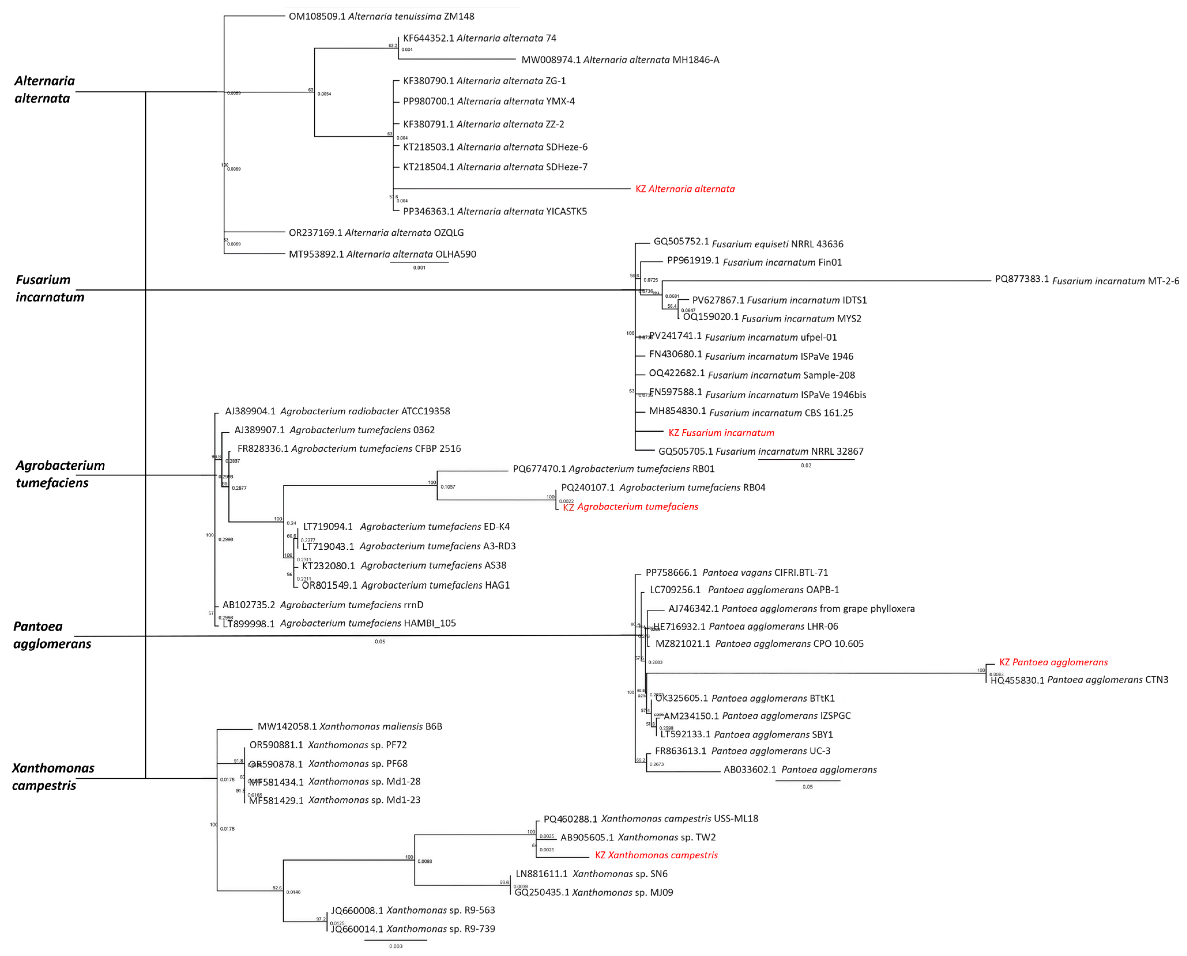 Horticulturae 11 01217 g005