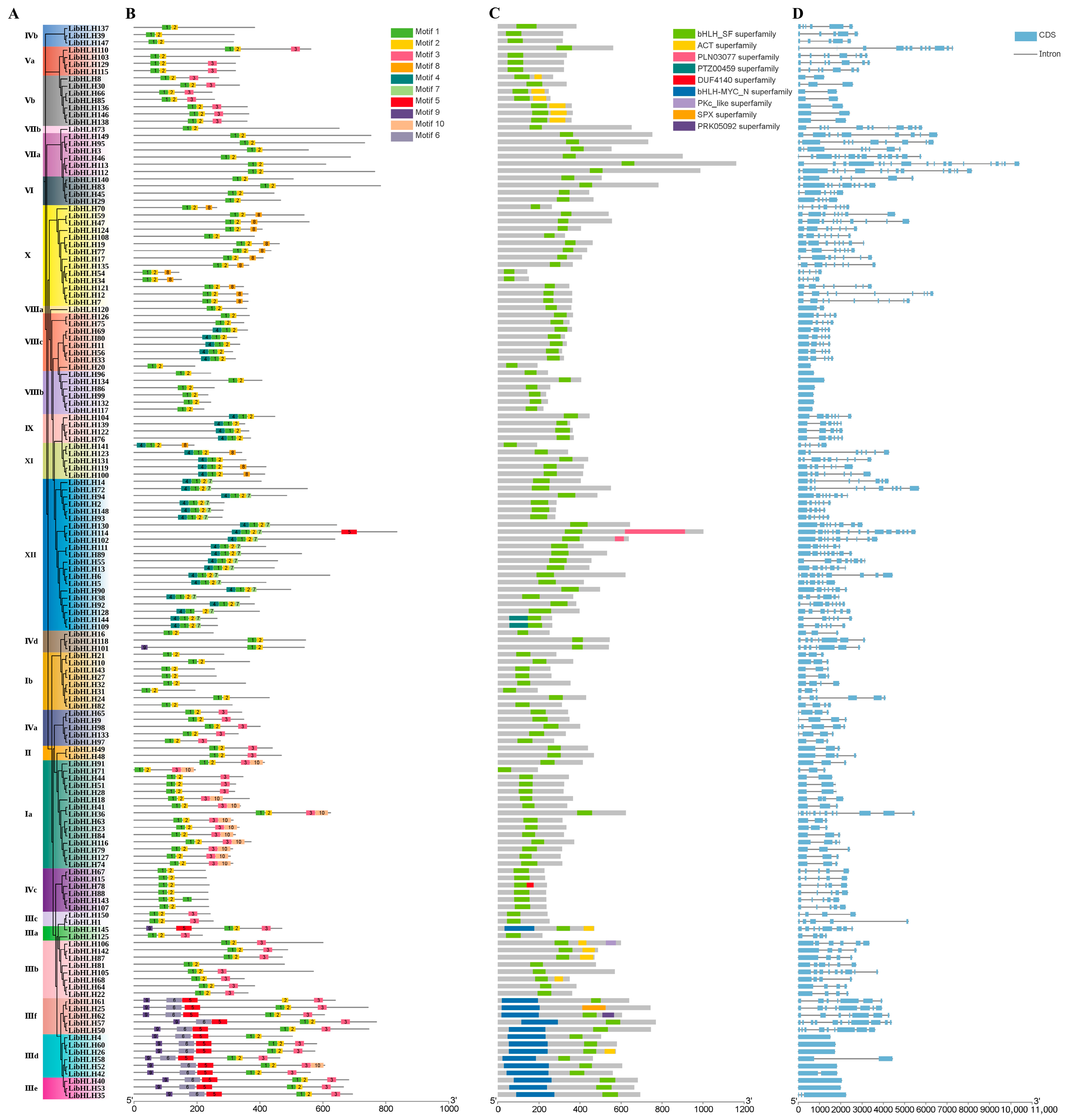 Horticulturae 11 01219 g002 Horticulturae 11 01219 g002