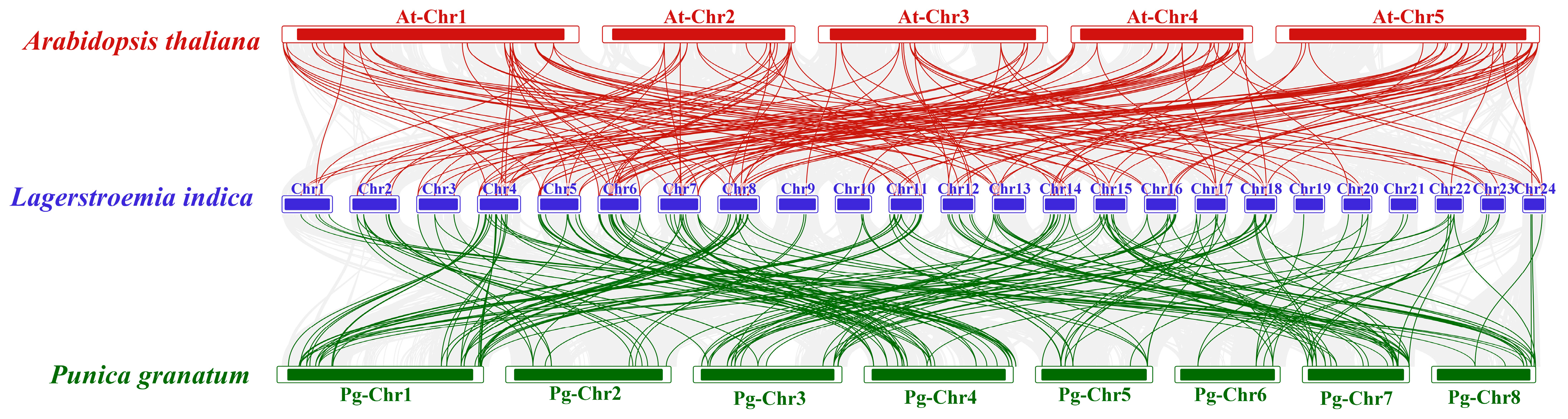 Horticulturae 11 01219 g005 Horticulturae 11 01219 g005