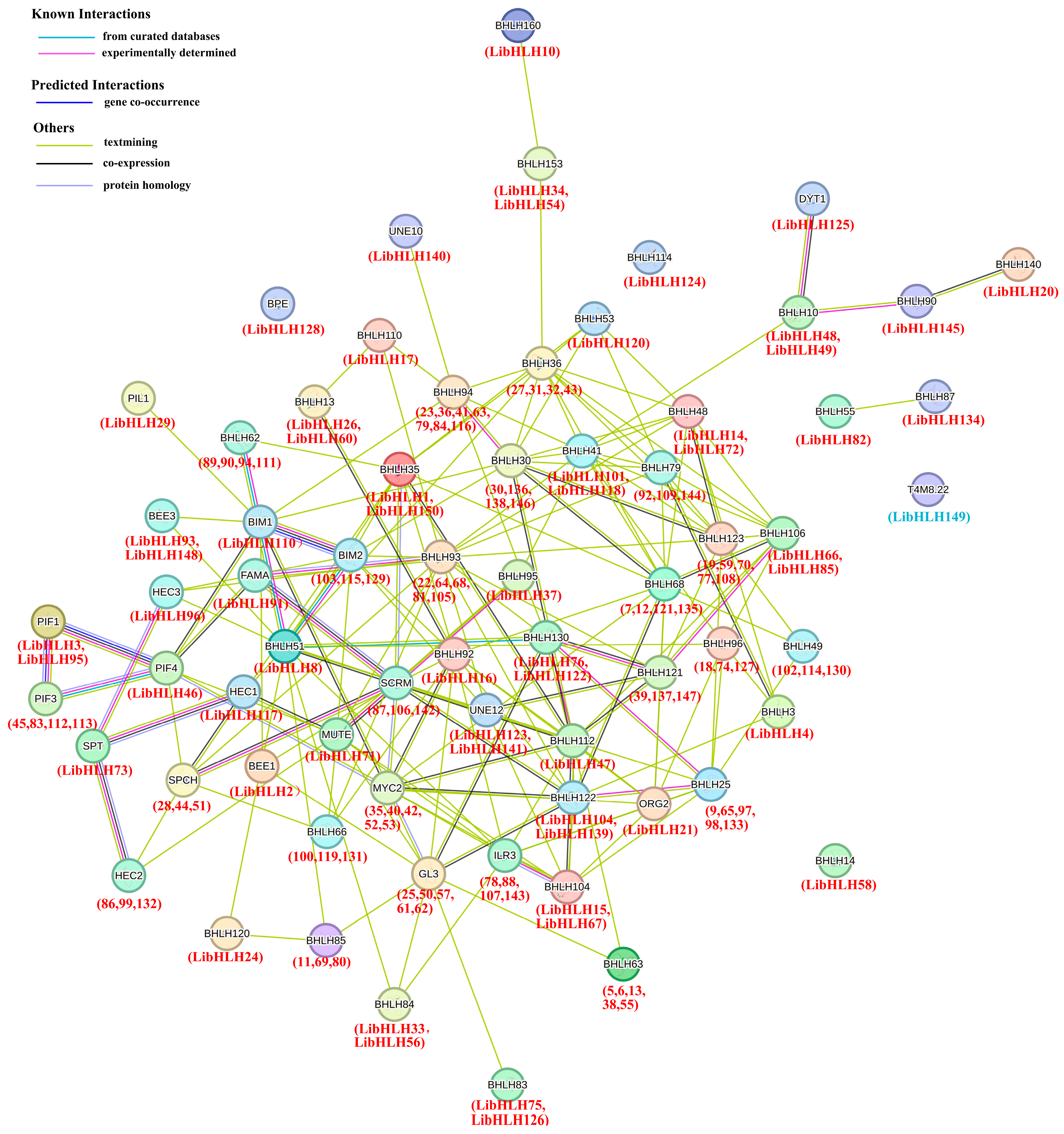 Horticulturae 11 01219 g006 Horticulturae 11 01219 g006