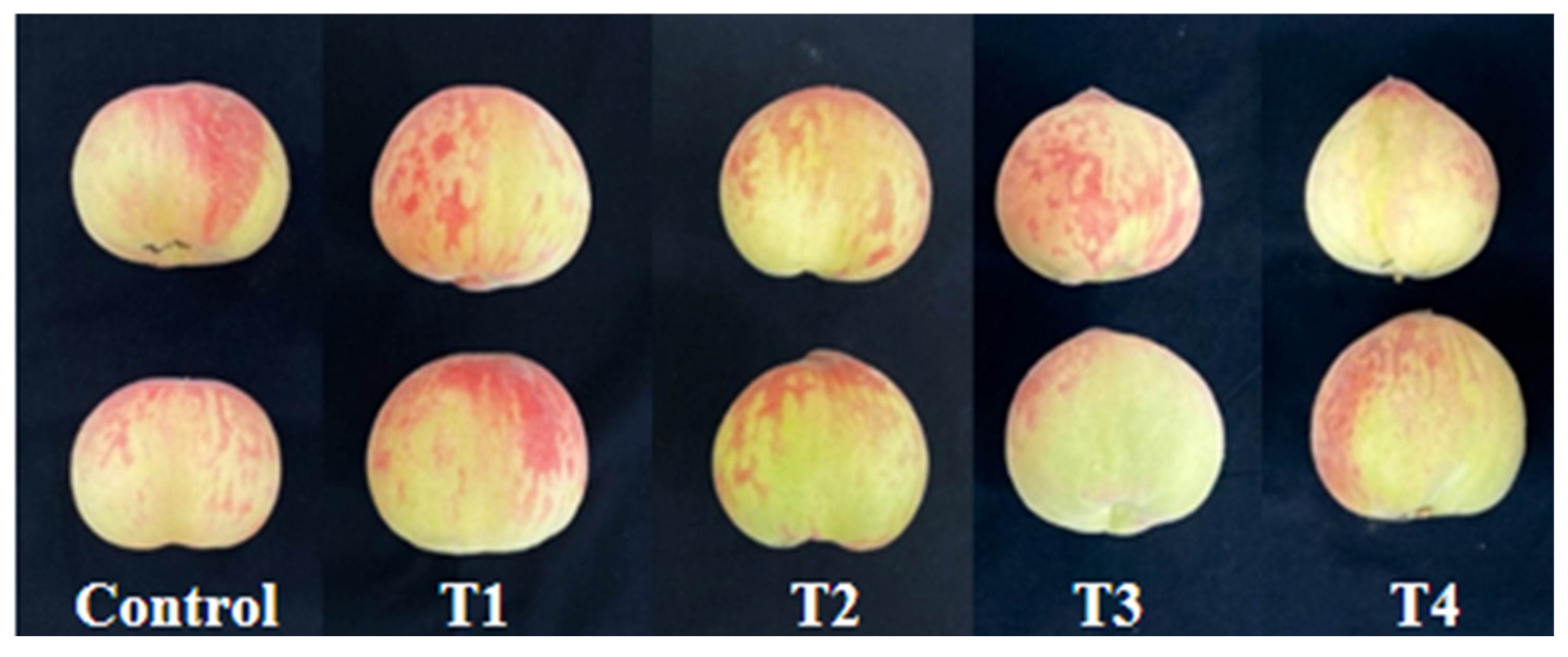 Horticulturae 11 01222 g003