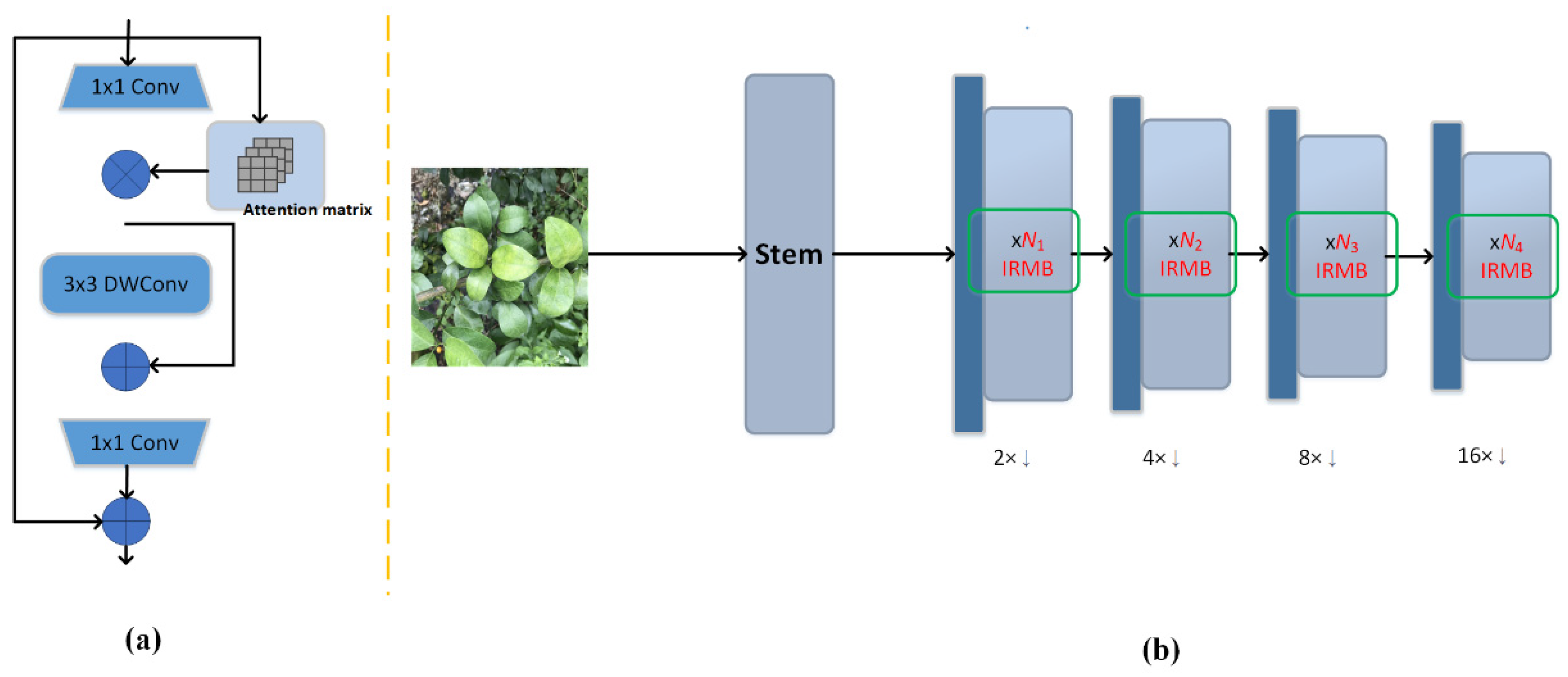 Horticulturae 11 01225 g006