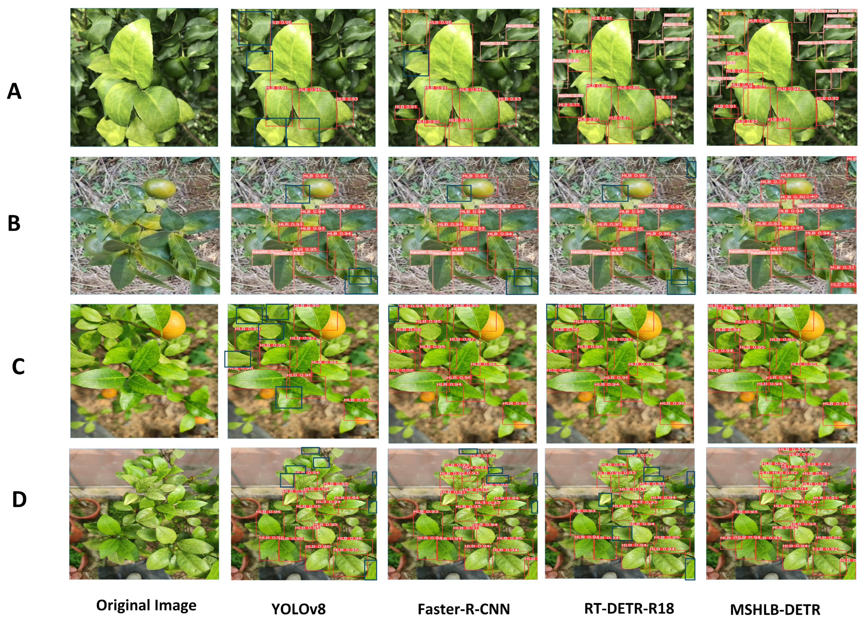 Horticulturae 11 01225 g012