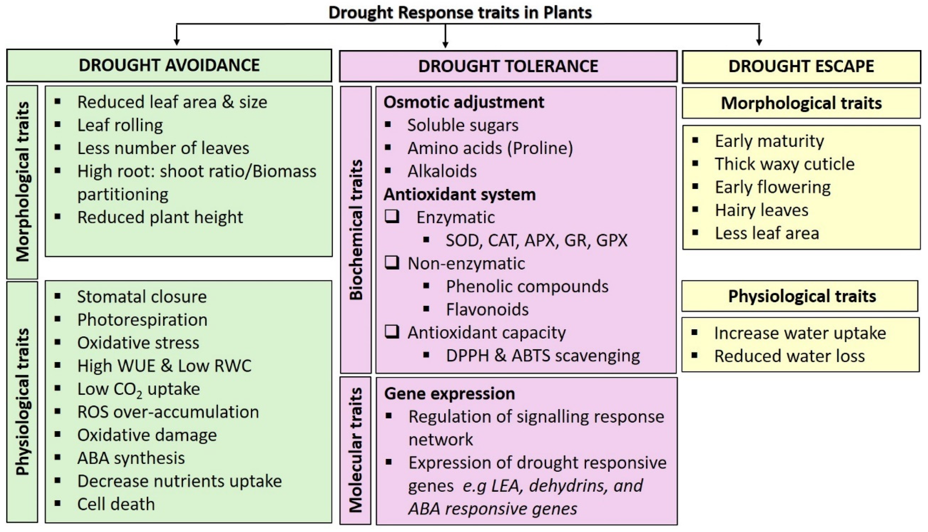 Horticulturae 11 01226 g001