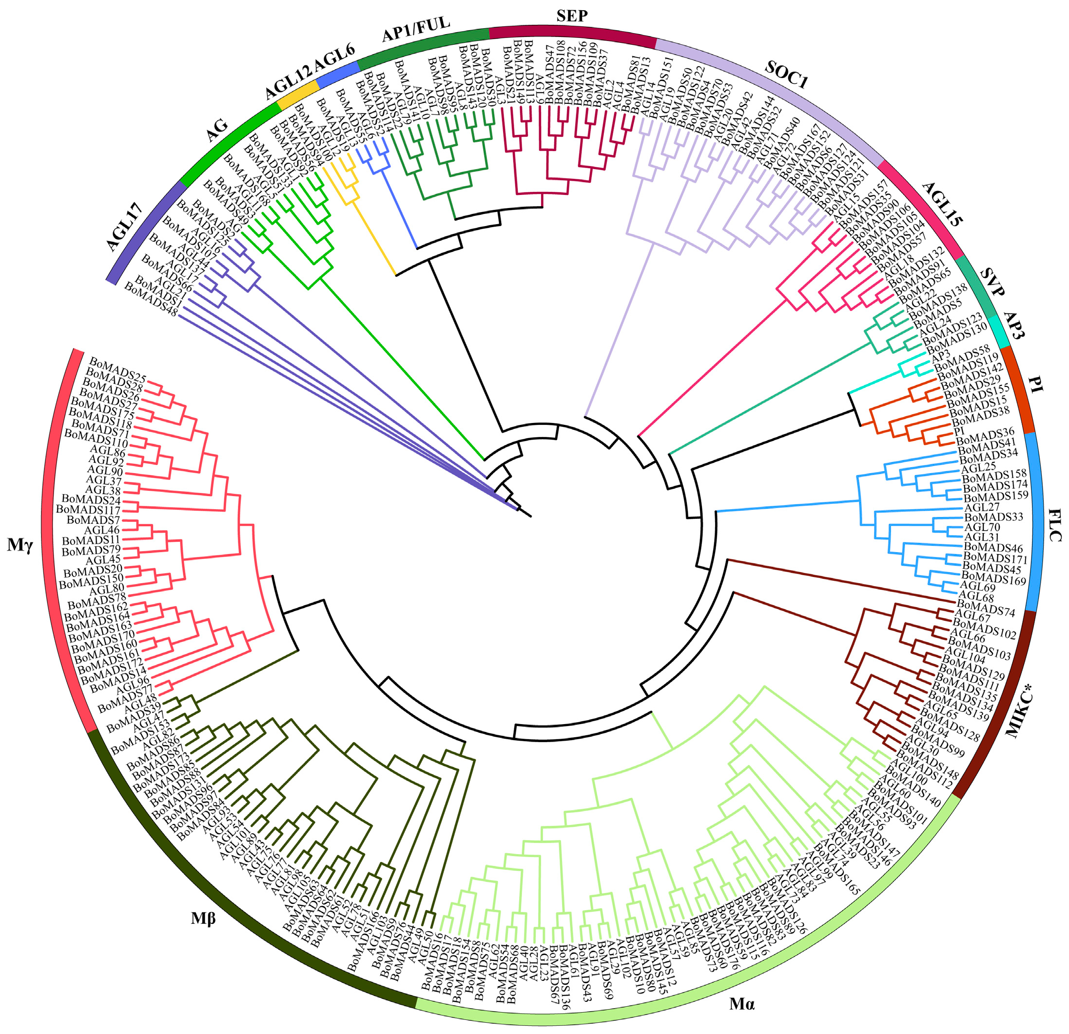 Horticulturae 11 01227 g001