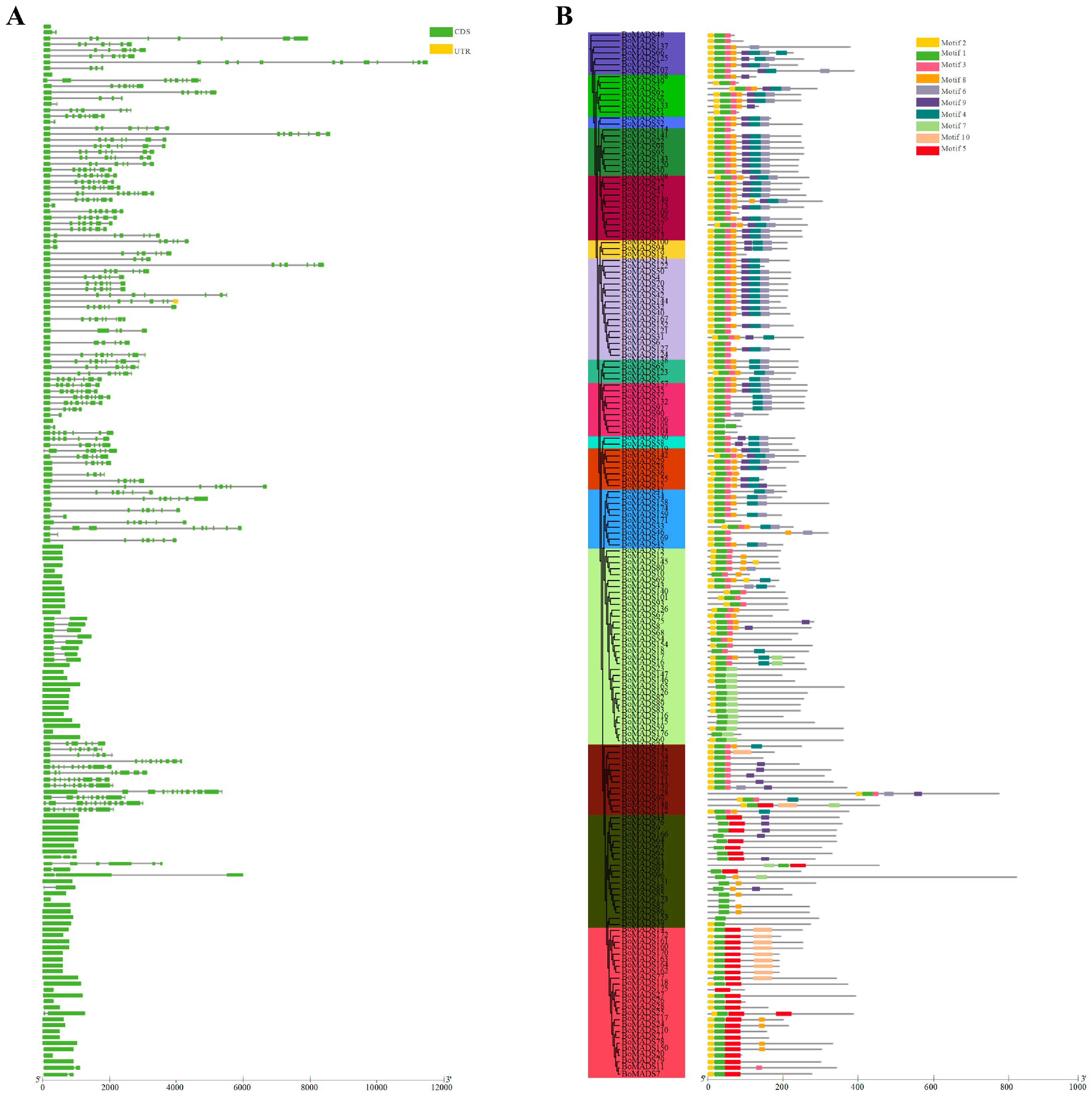 Horticulturae 11 01227 g002