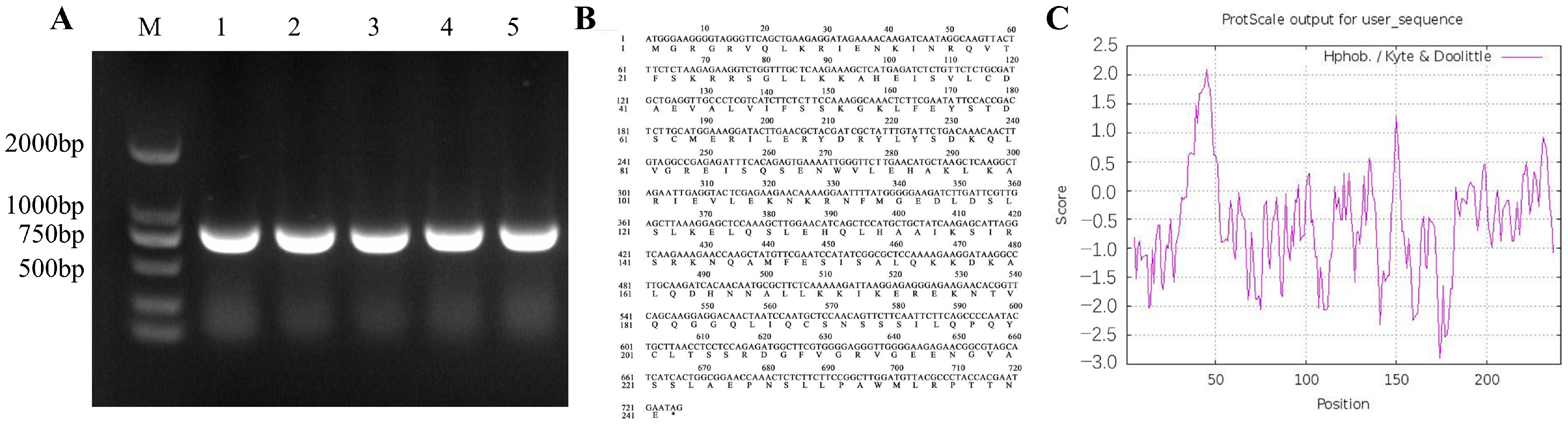 Horticulturae 11 01227 g006