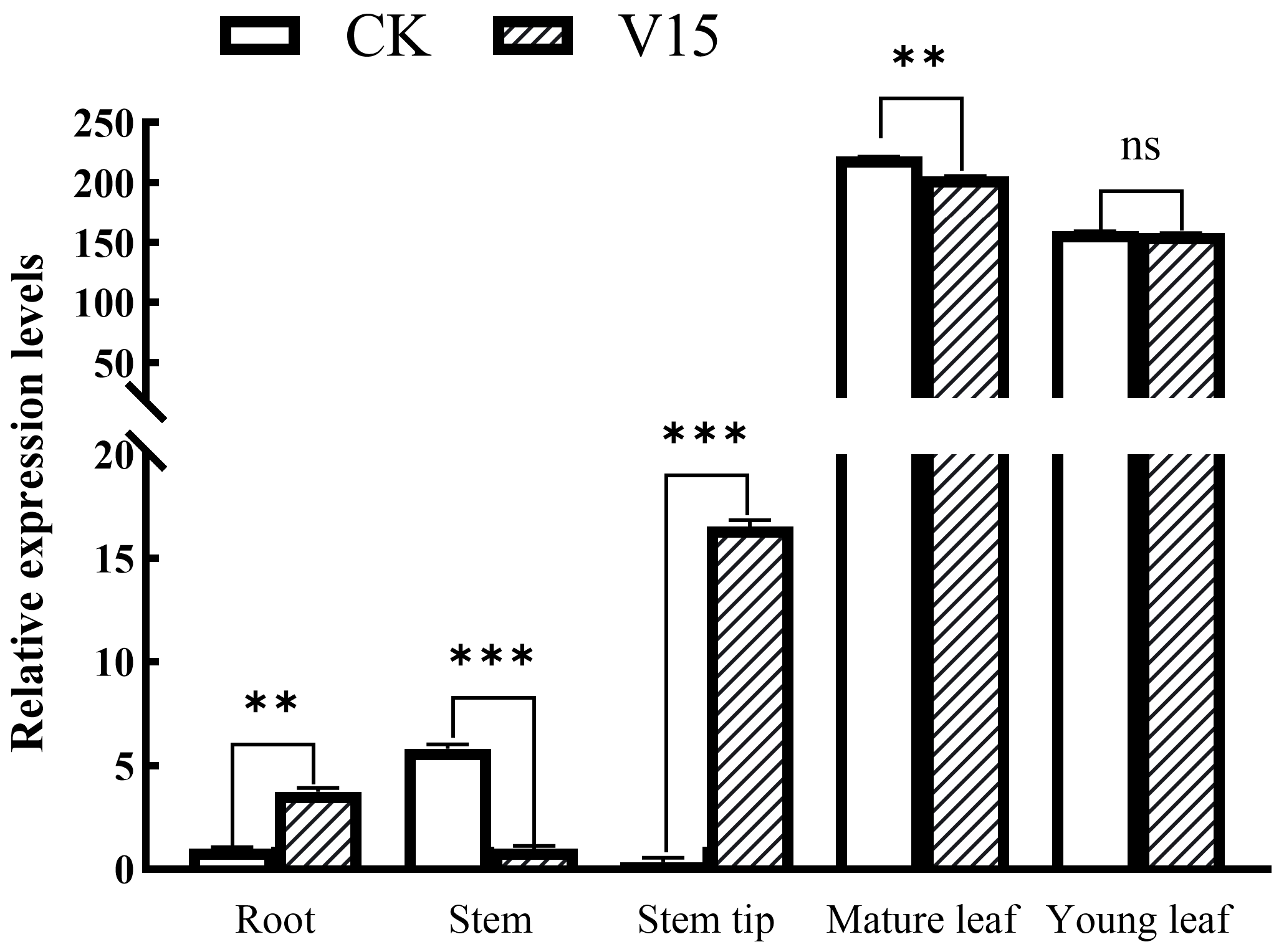 Horticulturae 11 01227 g008