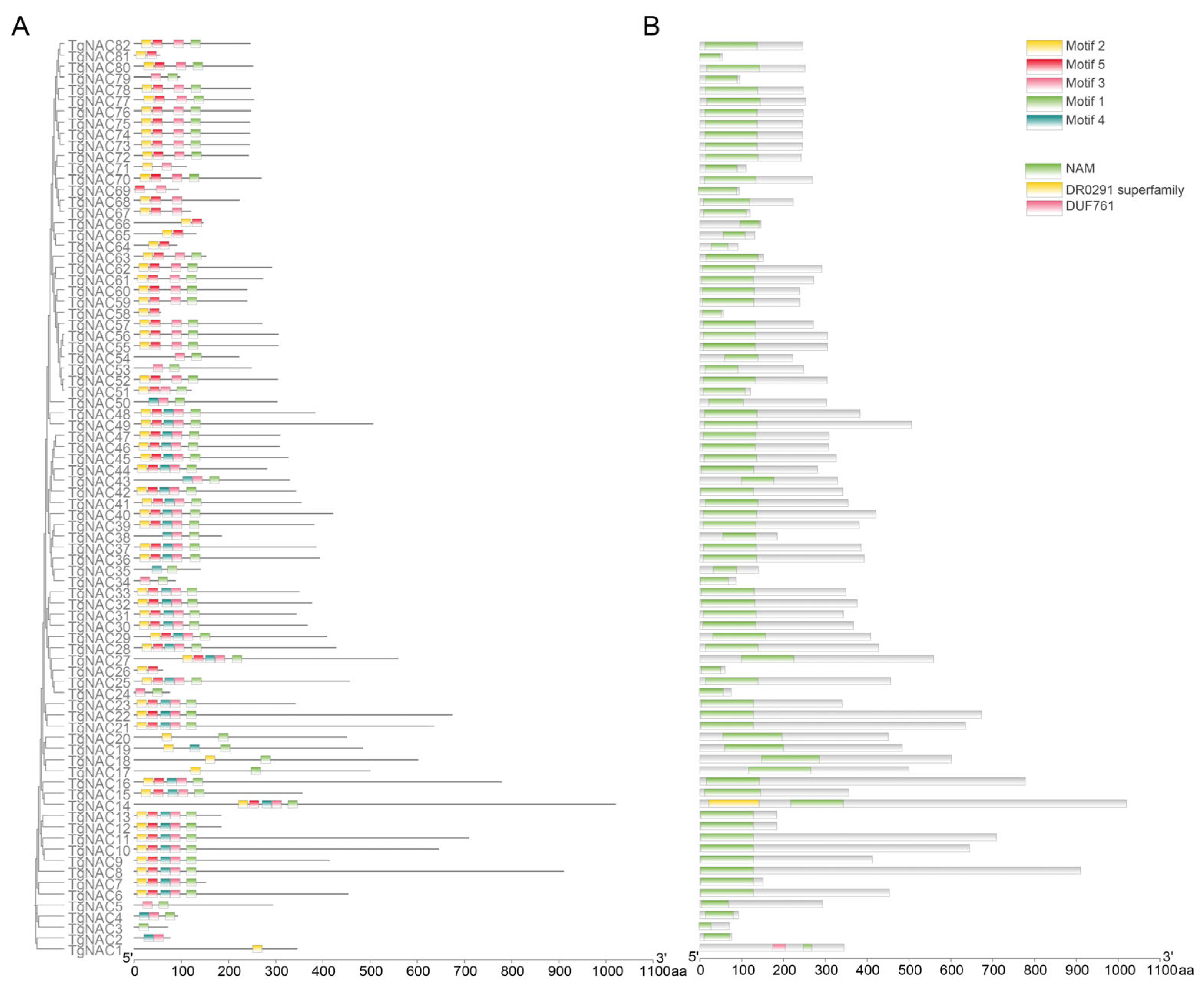 Horticulturae 11 01229 g001