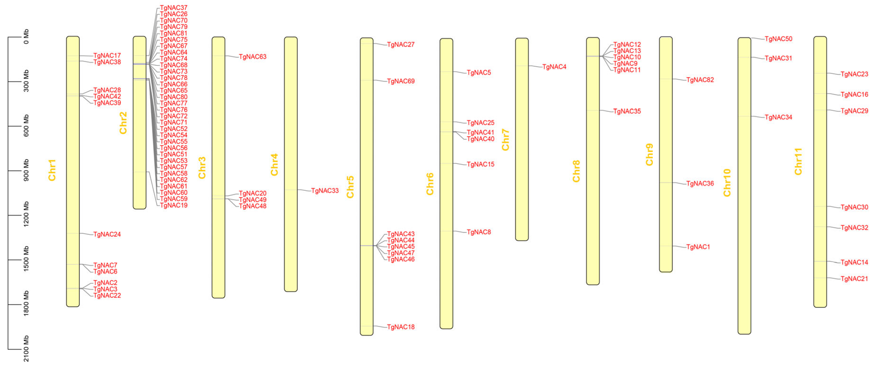 Horticulturae 11 01229 g002