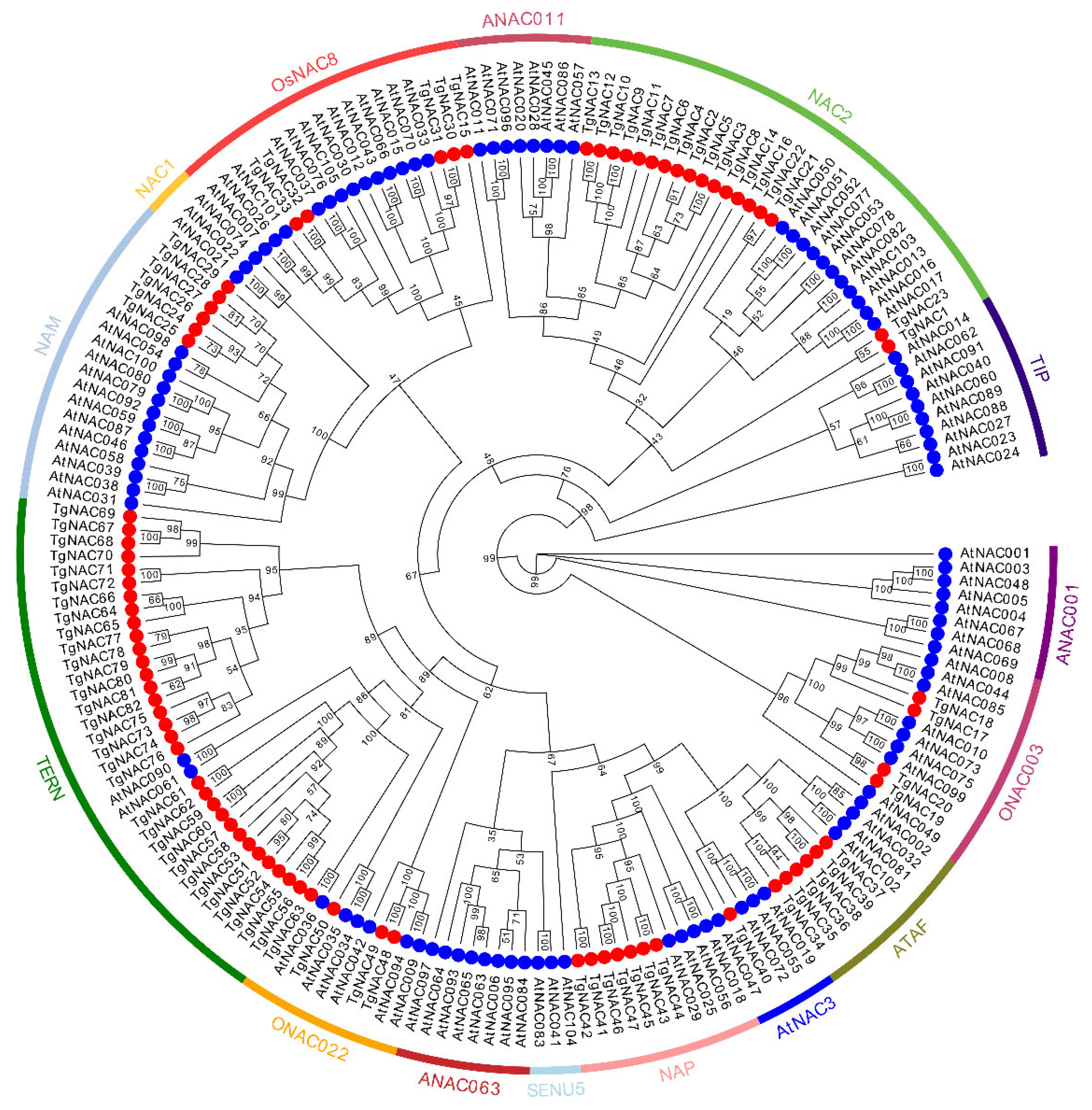 Horticulturae 11 01229 g003