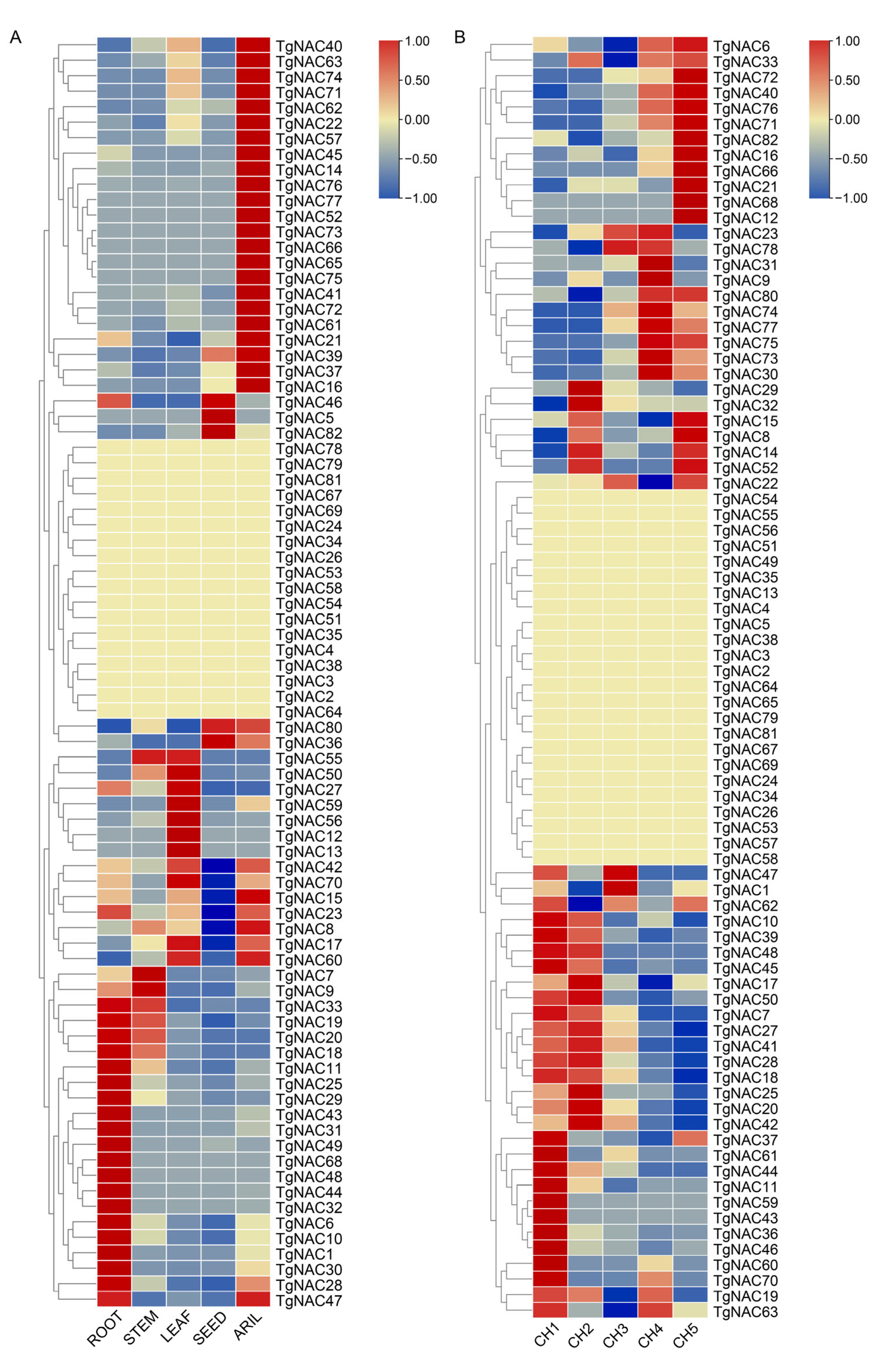 Horticulturae 11 01229 g004