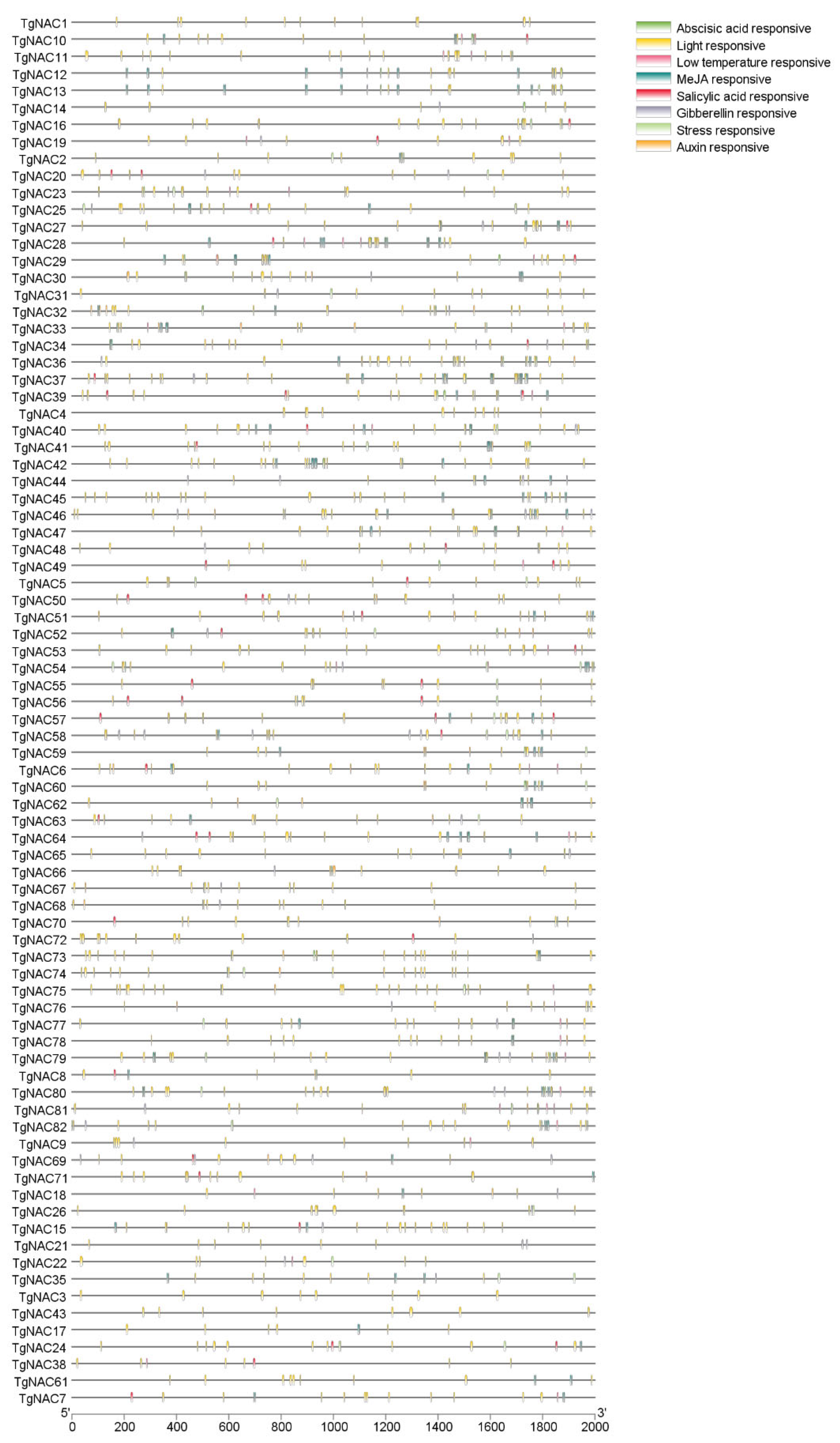 Horticulturae 11 01229 g005