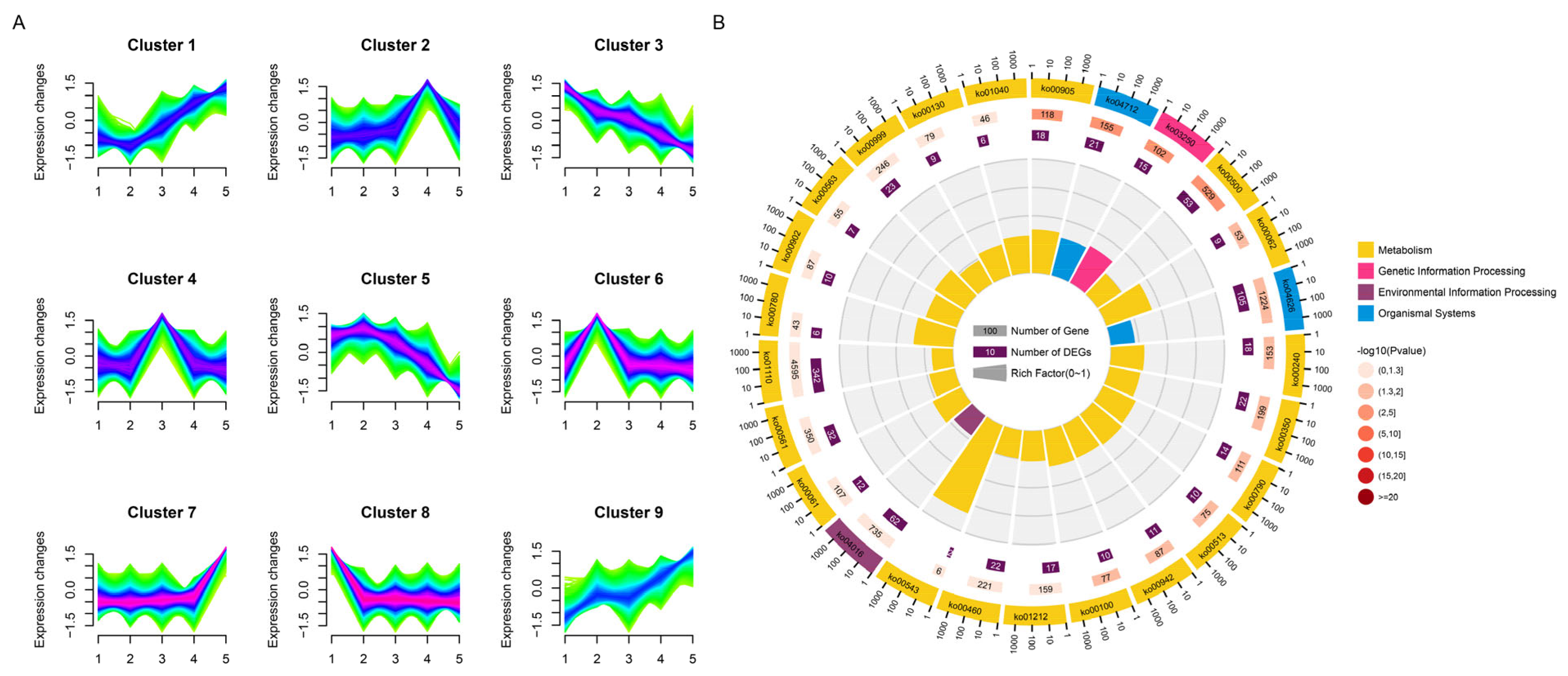 Horticulturae 11 01229 g007