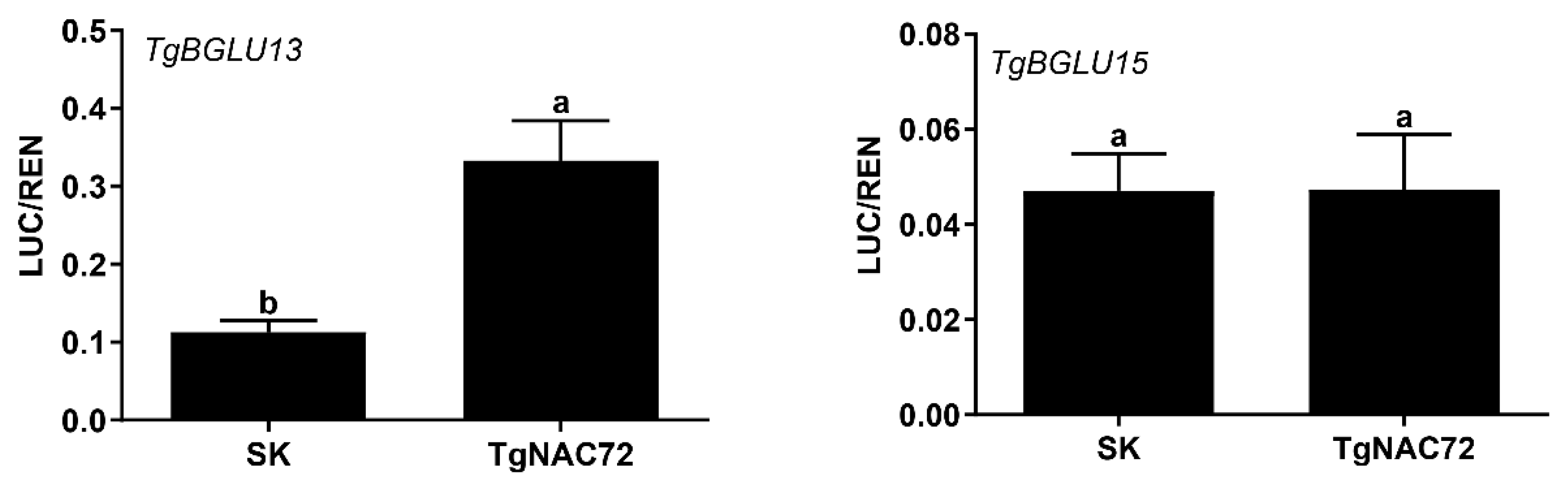 Horticulturae 11 01229 g008