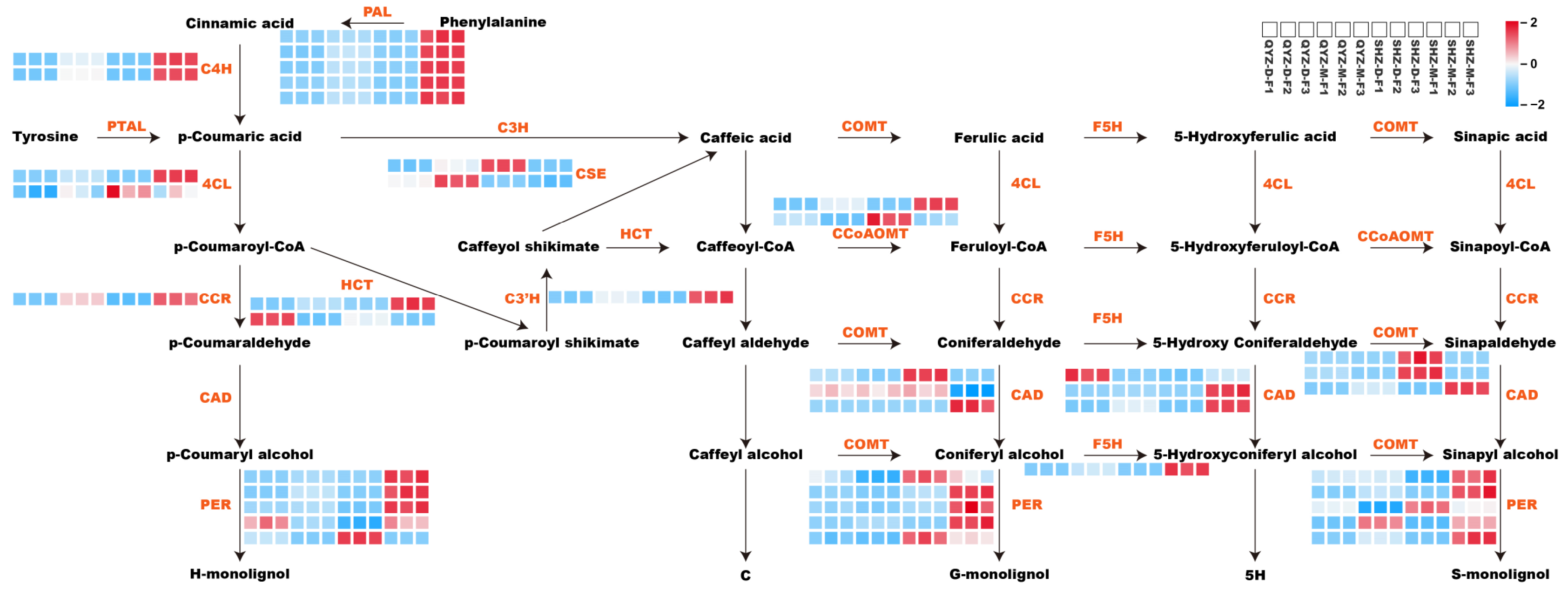 Horticulturae 11 01230 g005