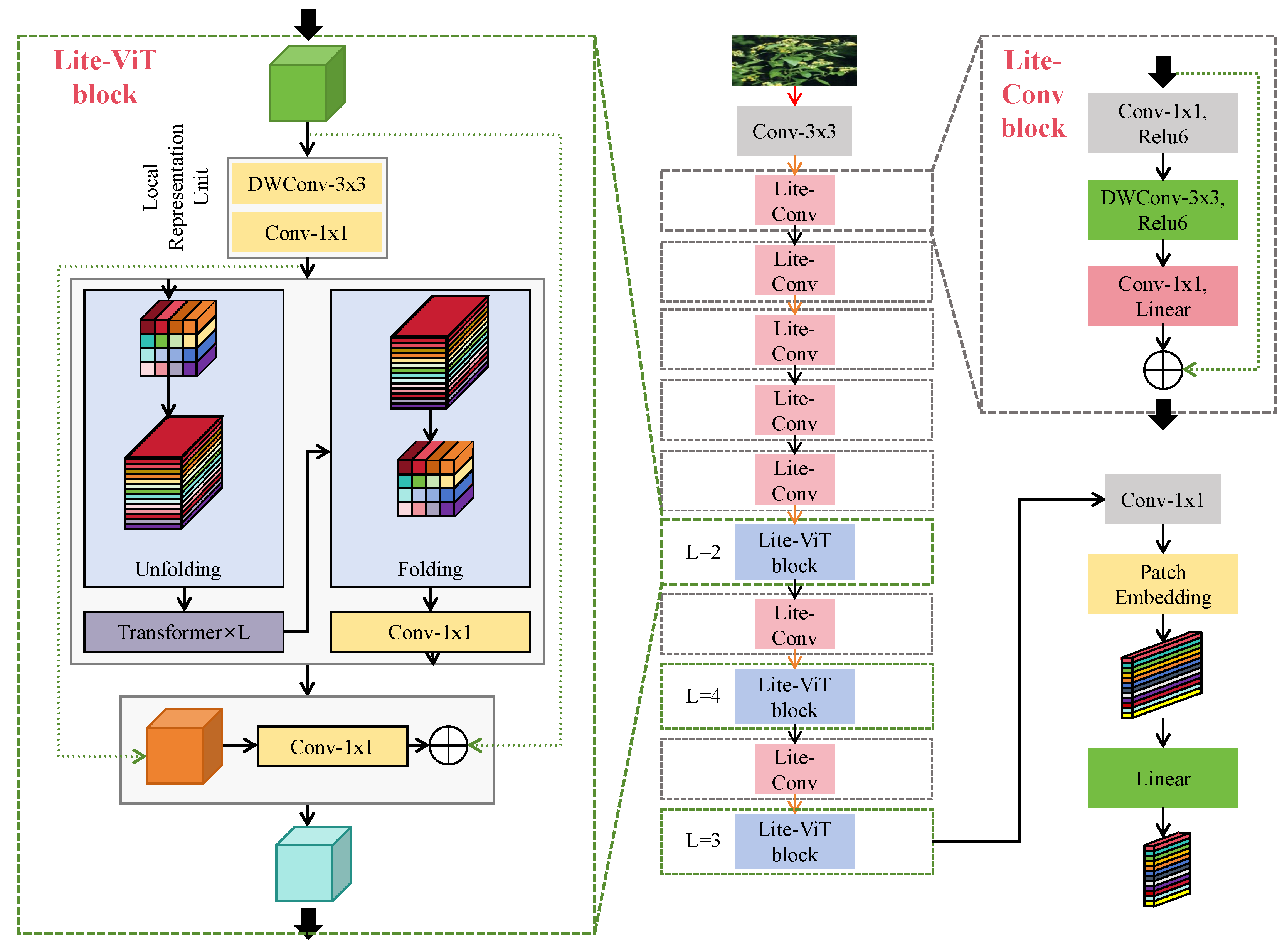 Horticulturae 11 01236 g002 Horticulturae 11 01236 g002