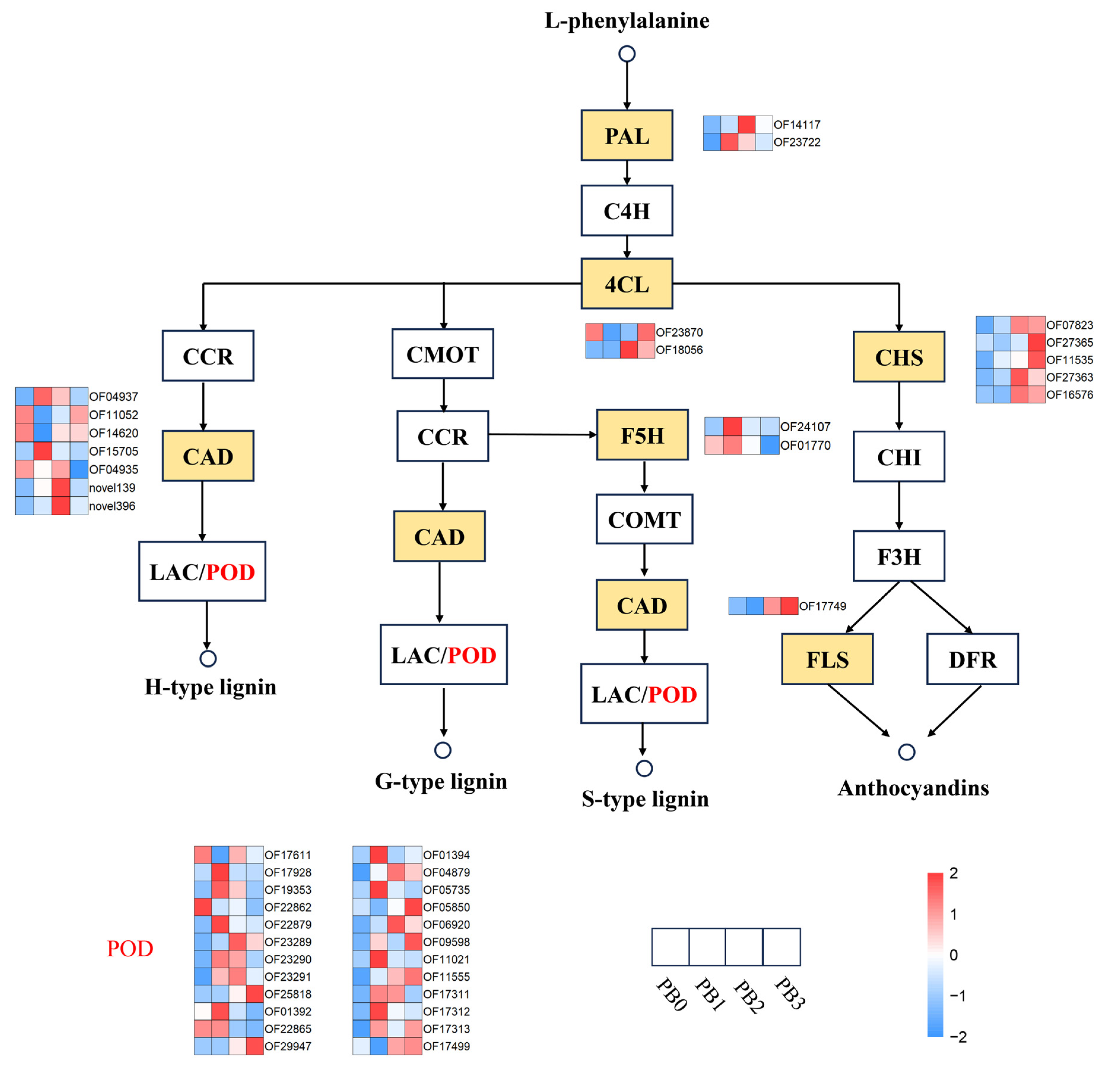 Horticulturae 11 01238 g007