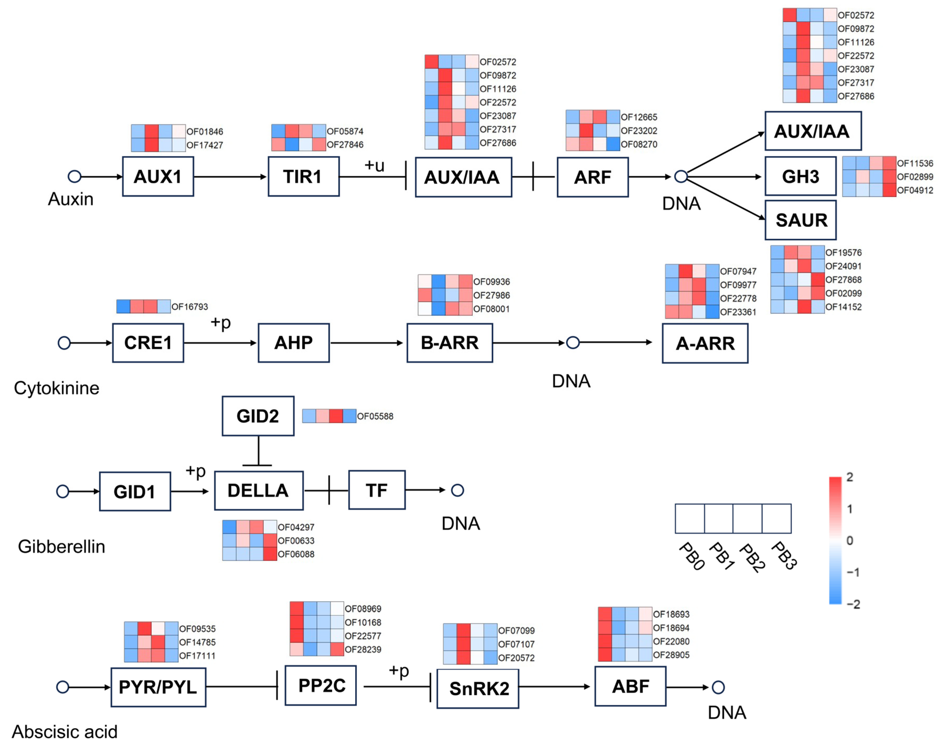 Horticulturae 11 01238 g008