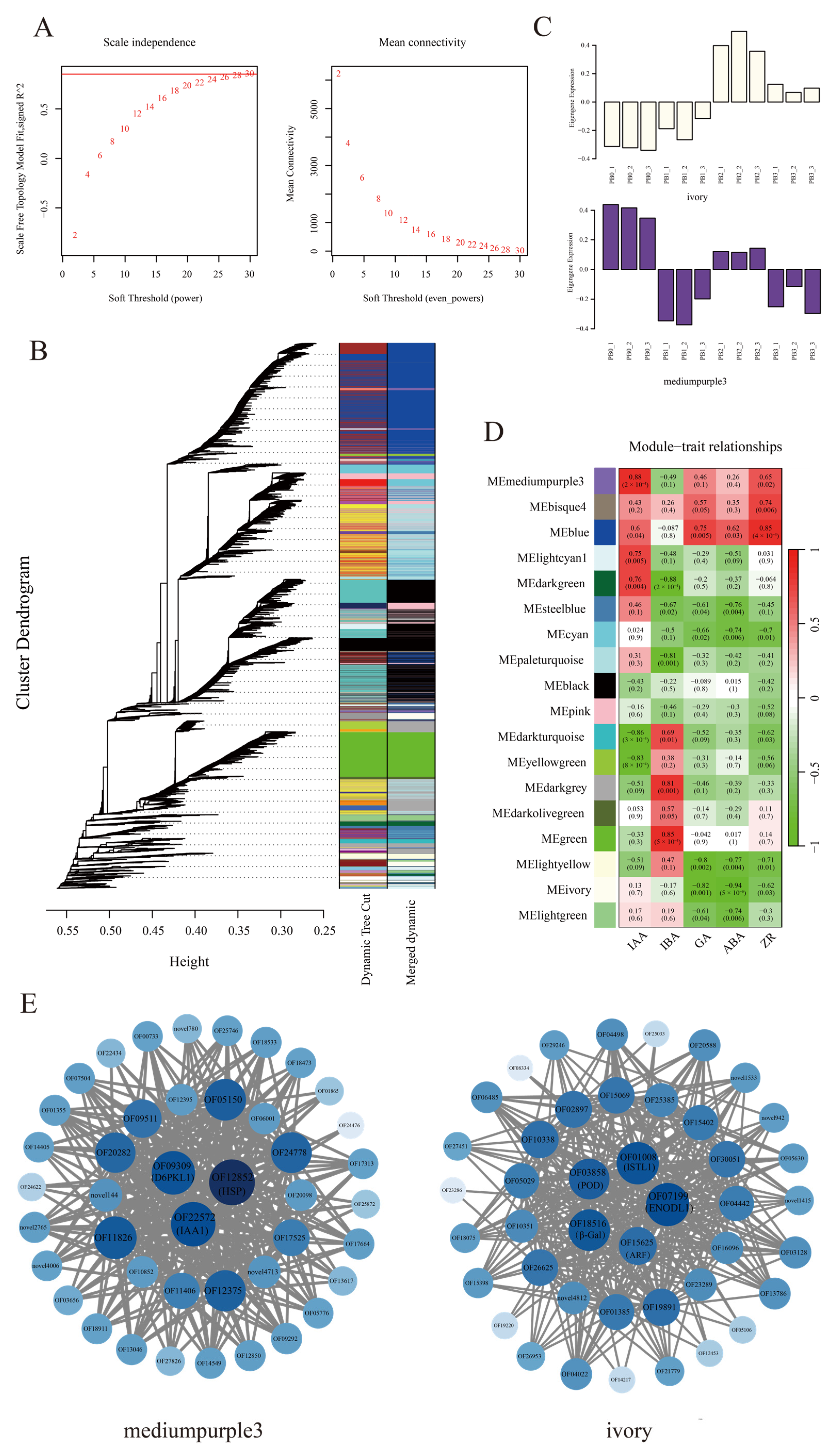 Horticulturae 11 01238 g009
