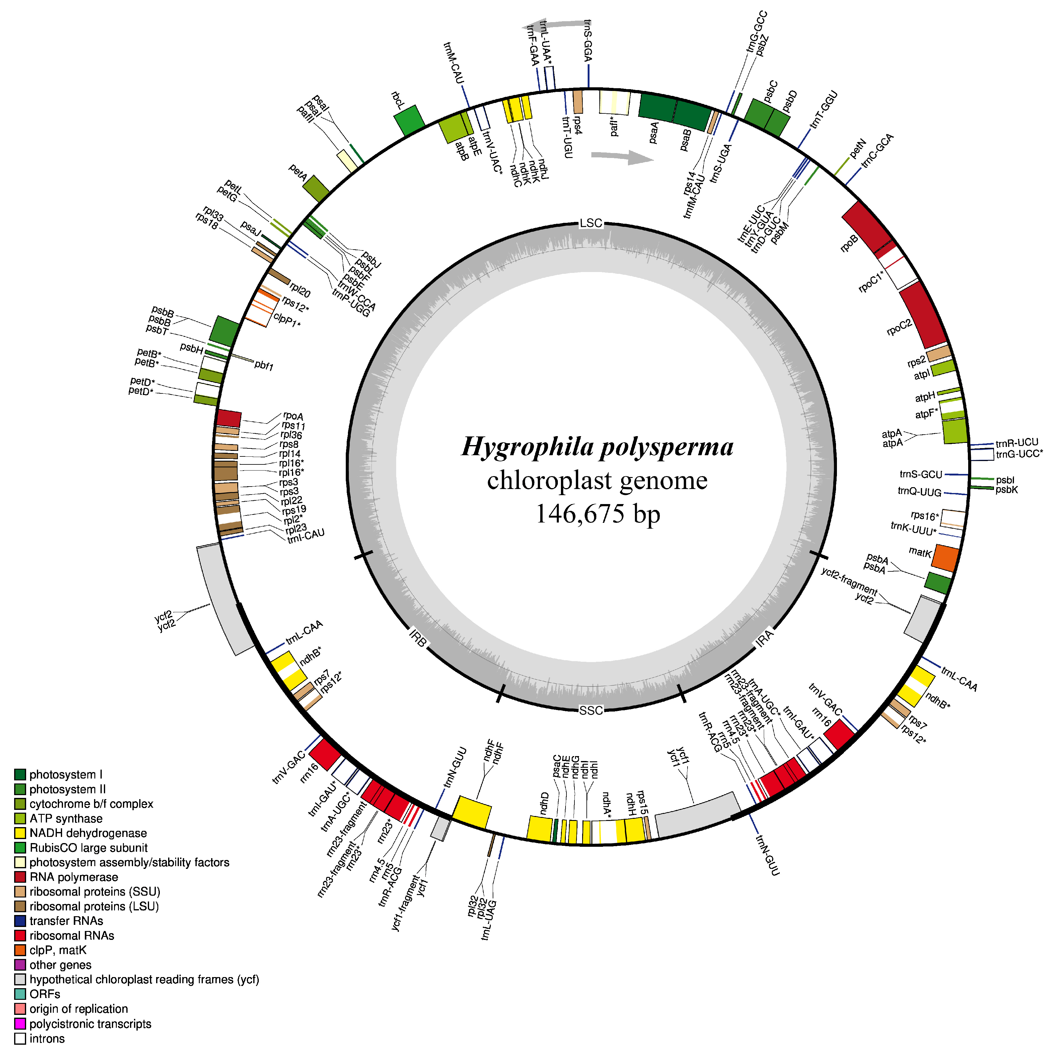 Horticulturae 11 01240 g002 Horticulturae 11 01240 g002