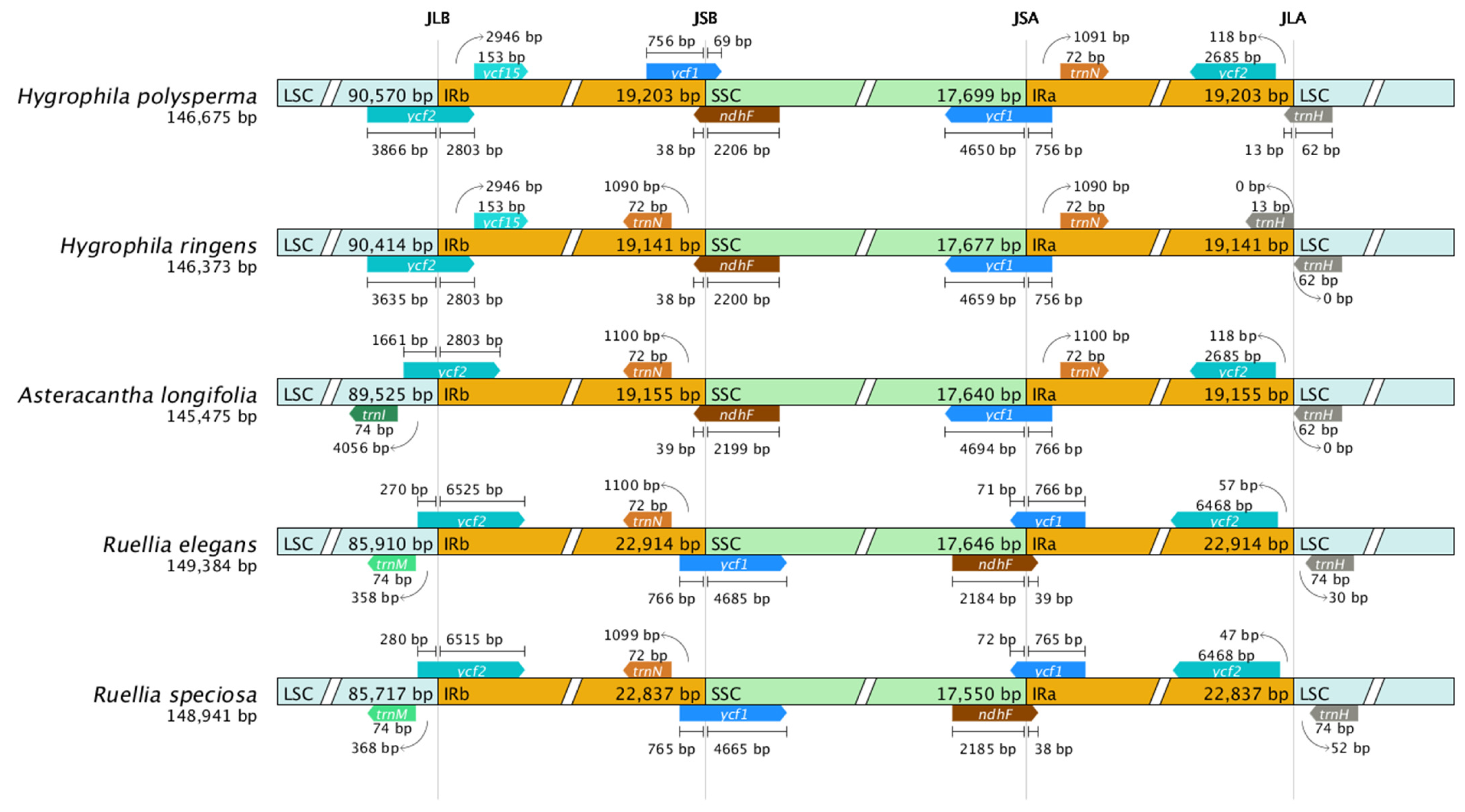 Horticulturae 11 01240 g005 Horticulturae 11 01240 g005
