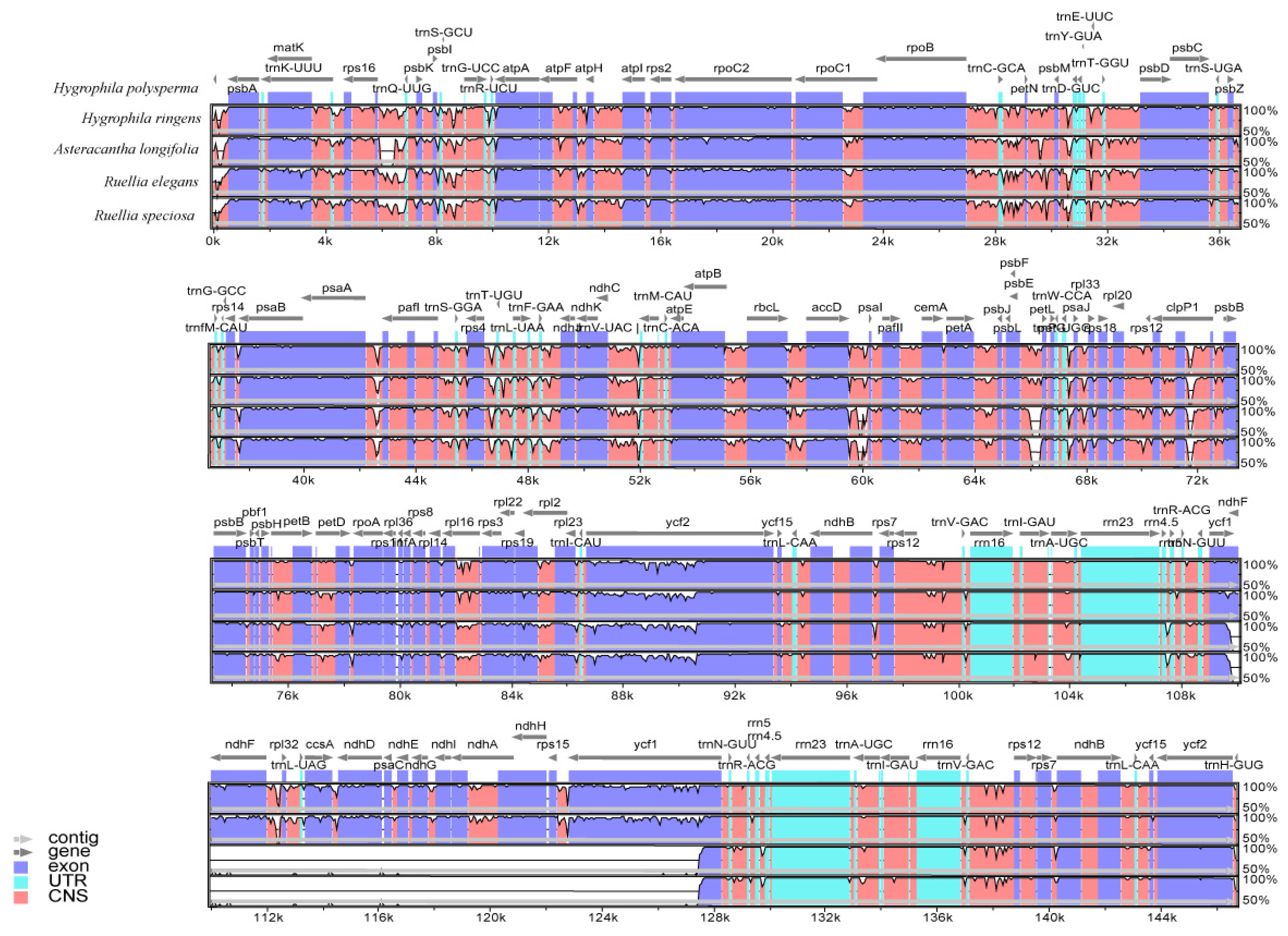 Horticulturae 11 01240 g006 Horticulturae 11 01240 g006