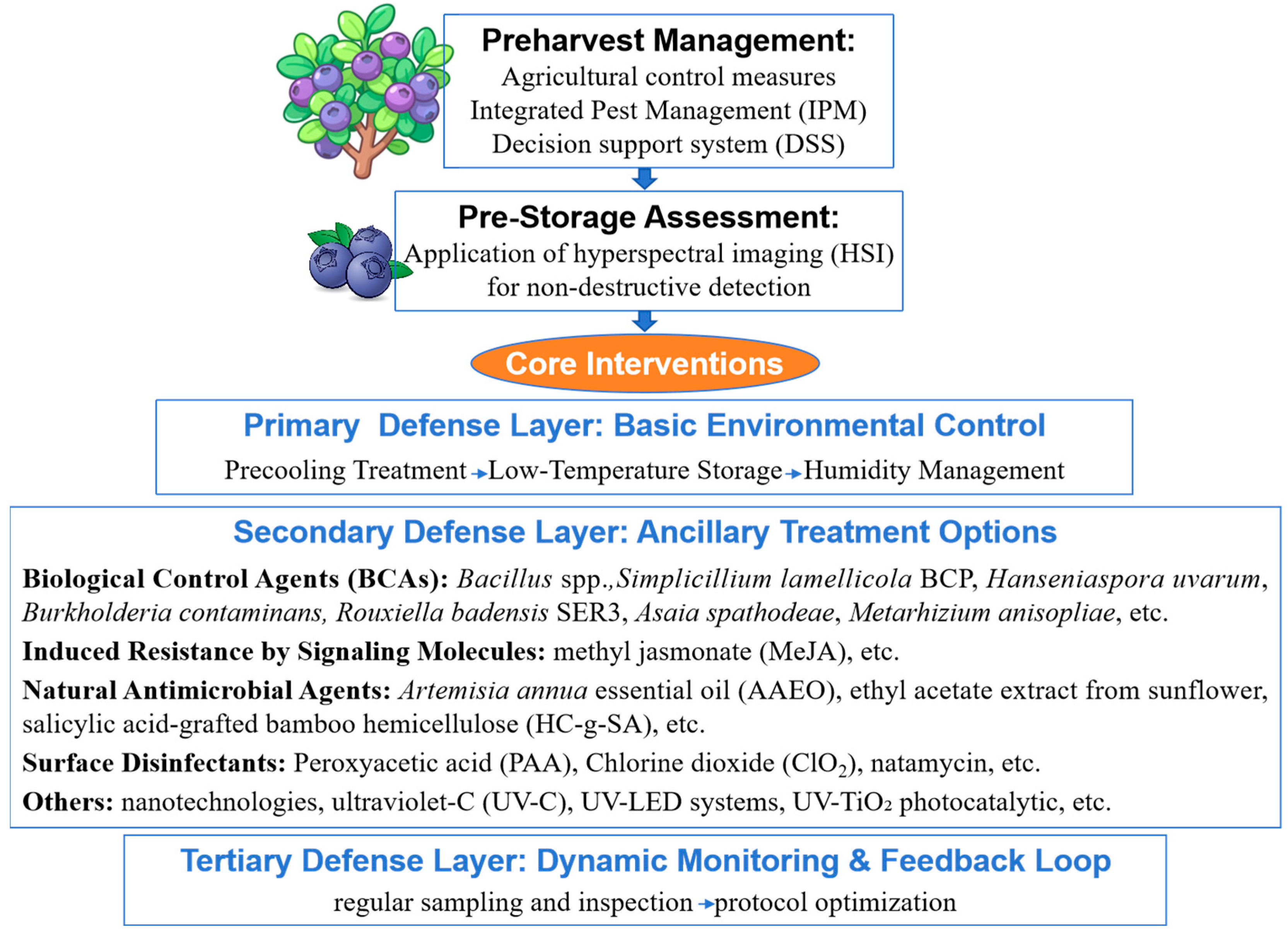 Horticulturae 11 01241 g002