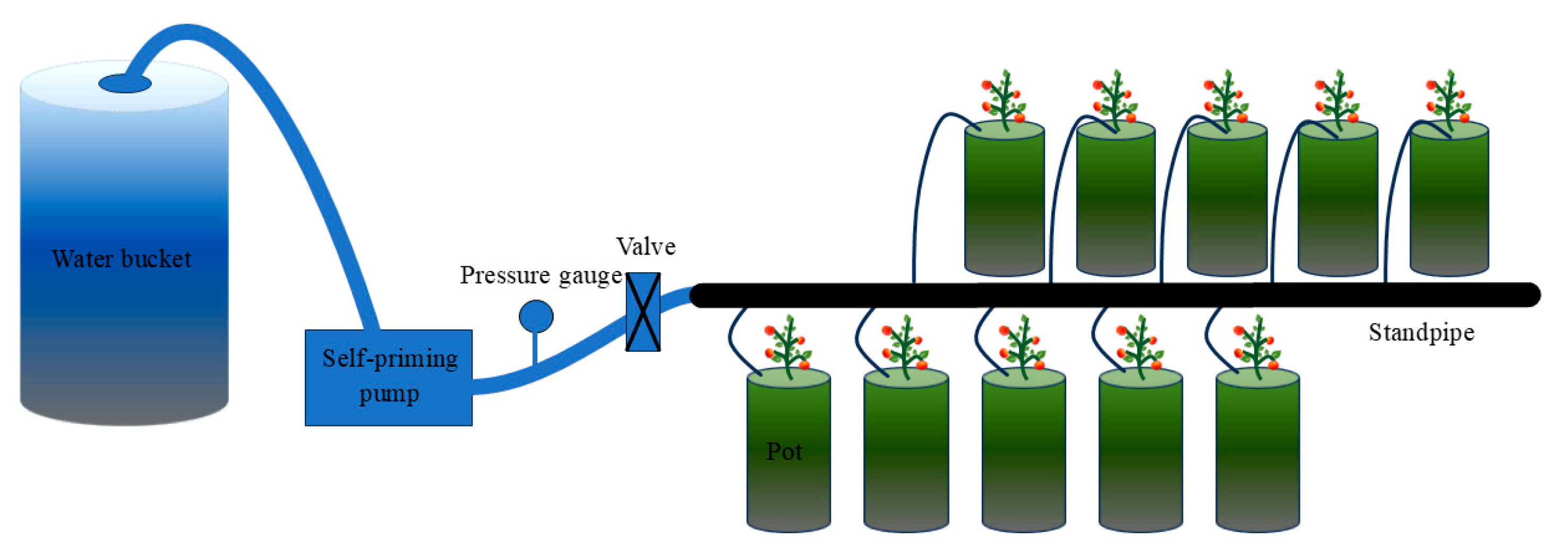 Horticulturae 11 01242 g001 Horticulturae 11 01242 g001