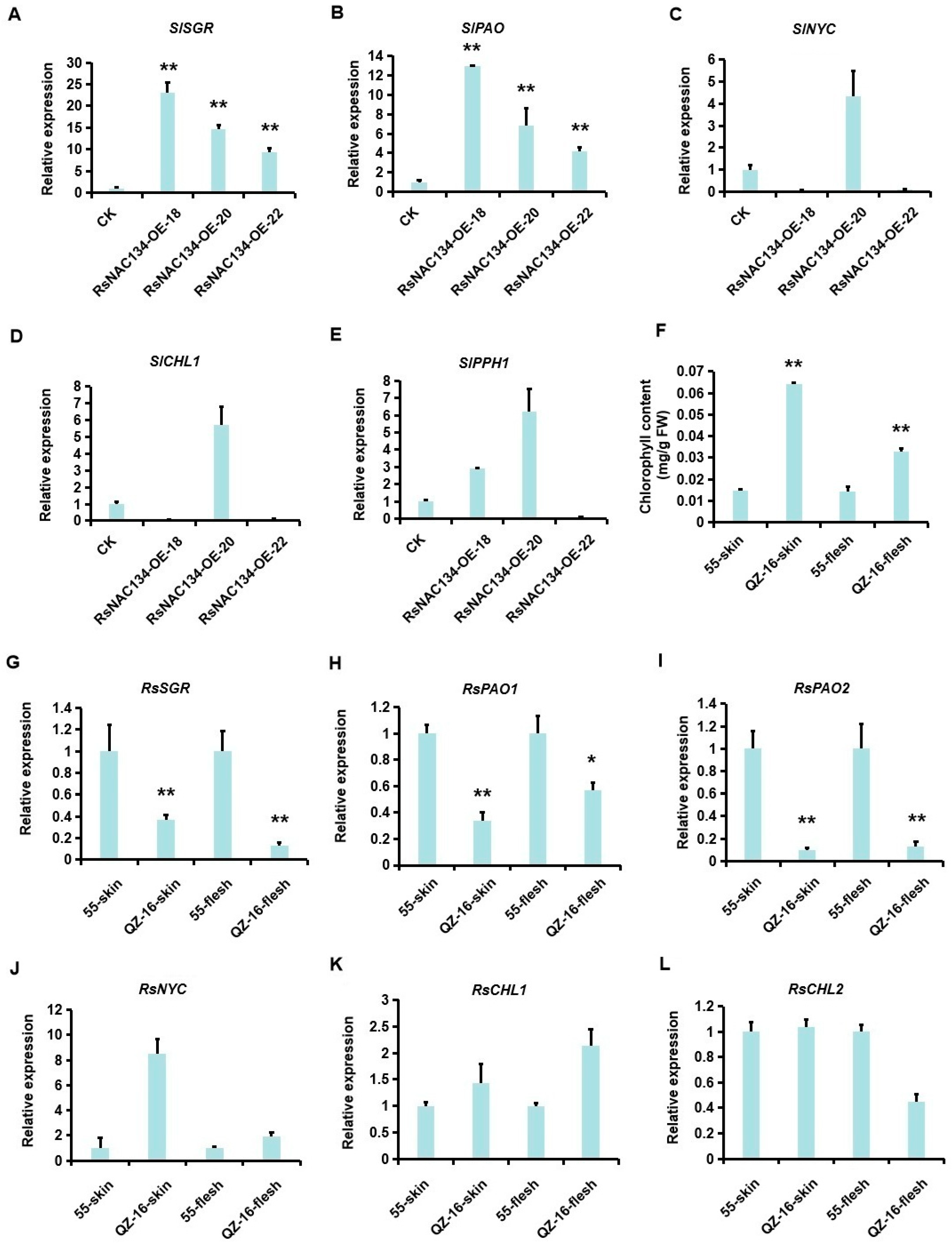 Horticulturae 11 01248 g003 Horticulturae 11 01248 g003