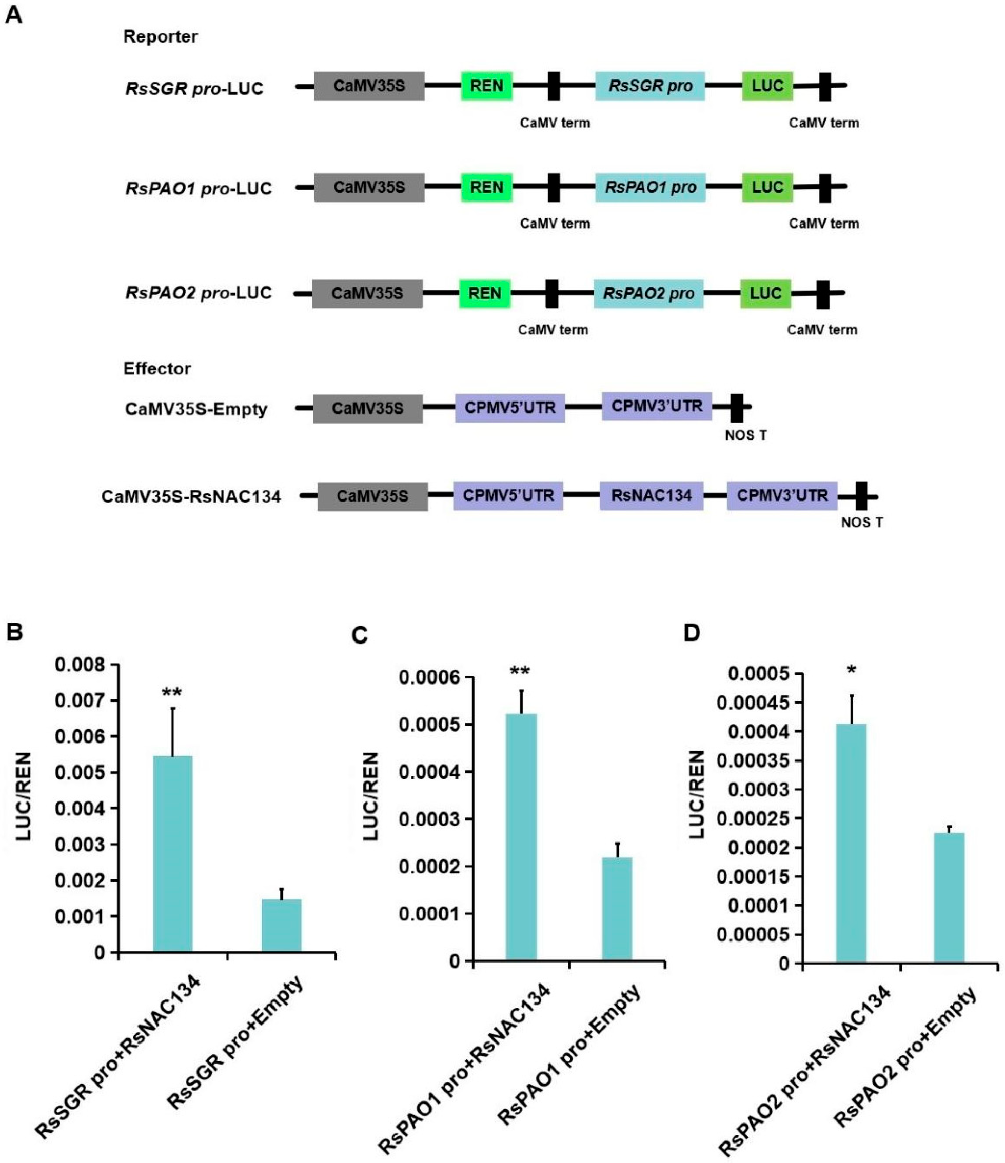 Horticulturae 11 01248 g005 Horticulturae 11 01248 g005