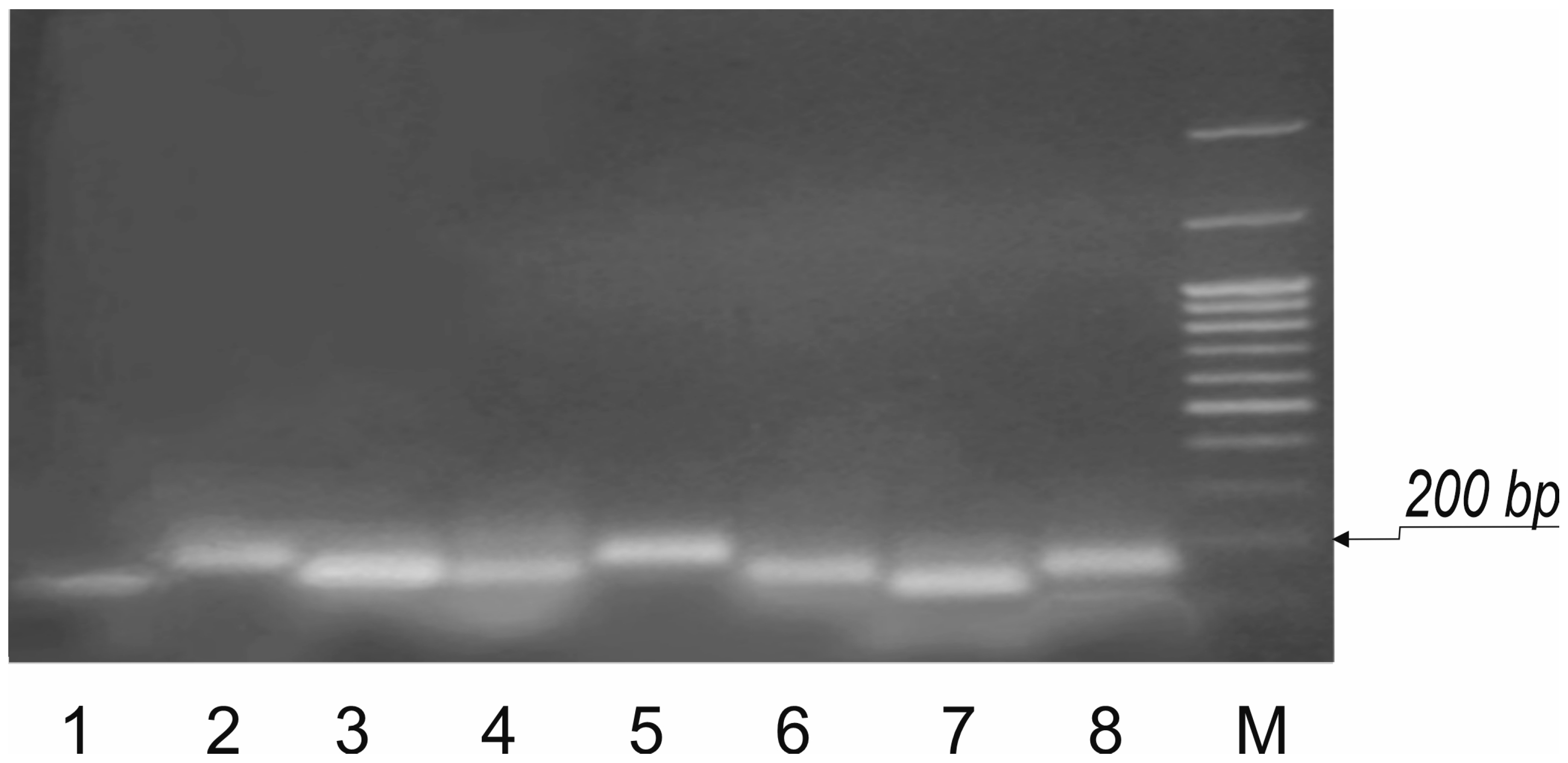Horticulturae 11 01249 g001 Horticulturae 11 01249 g001