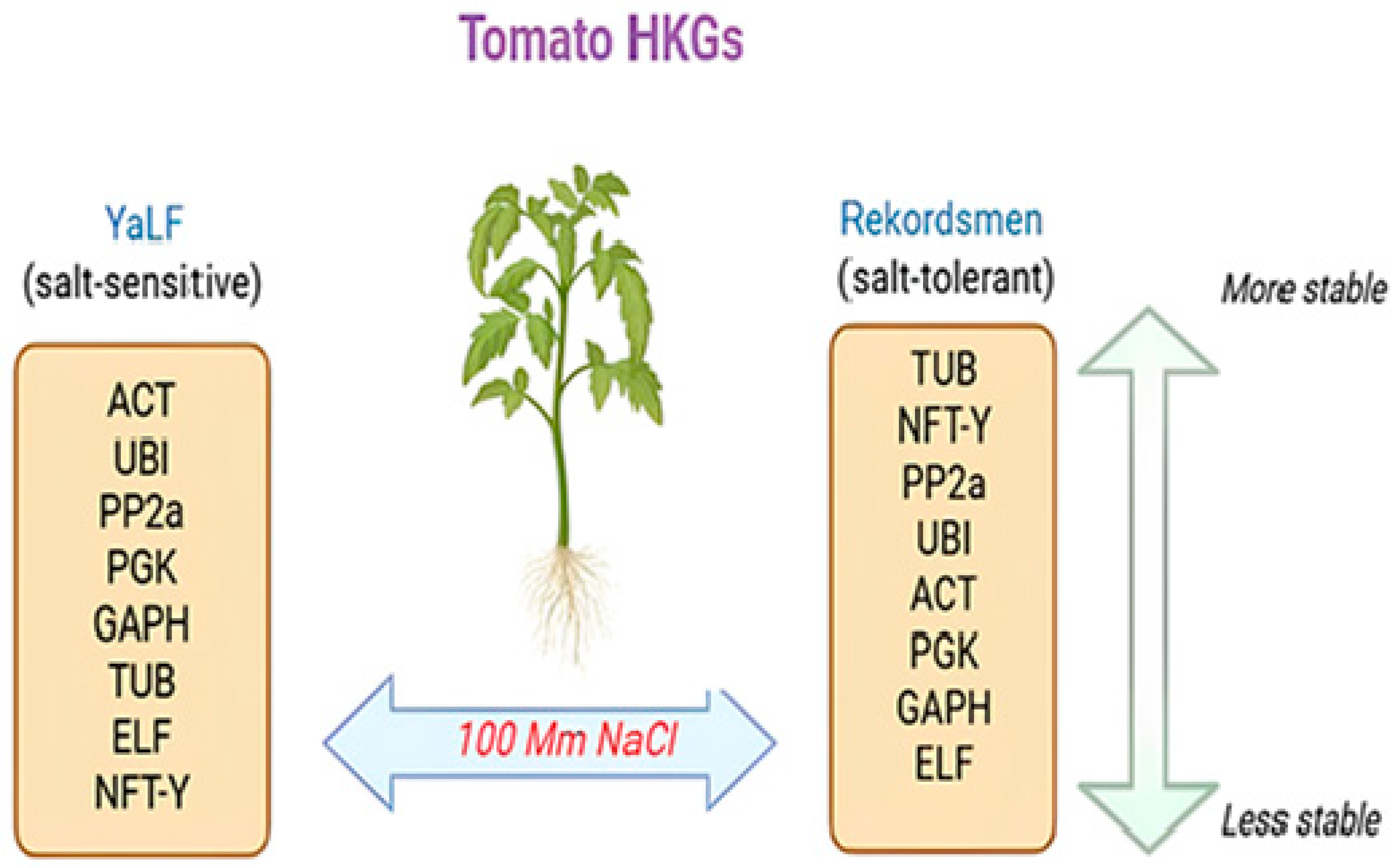 Horticulturae 11 01249 g009 Horticulturae 11 01249 g009
