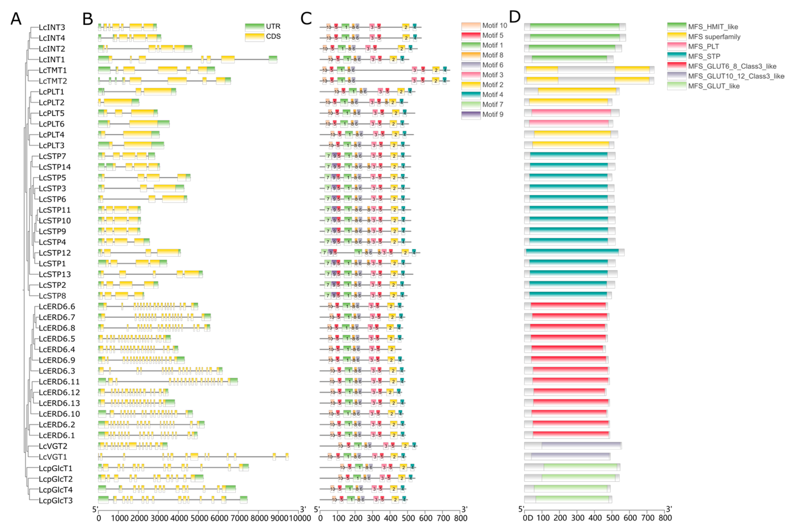 Horticulturae 11 01252 g002
