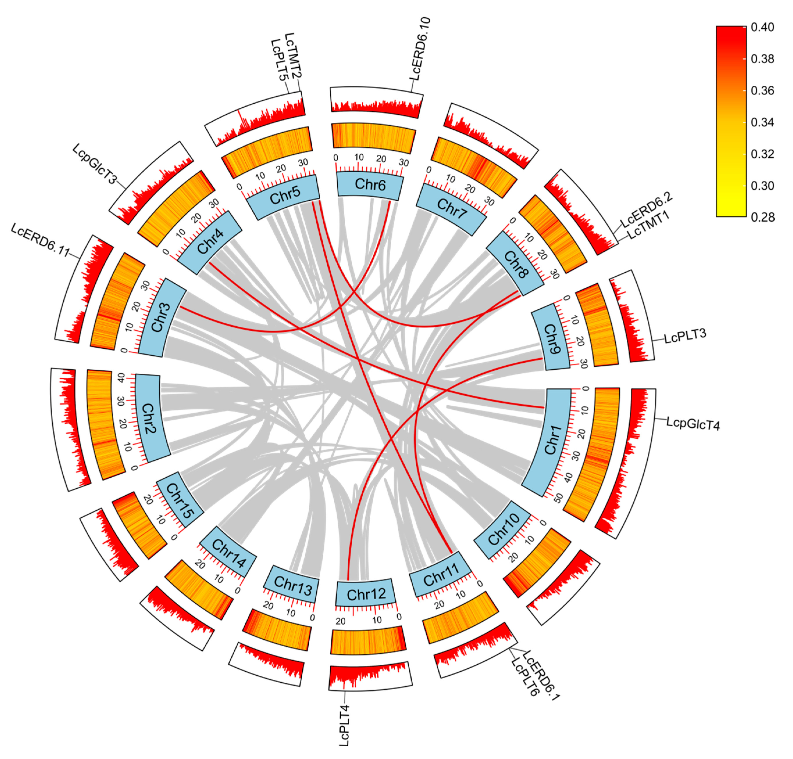 Horticulturae 11 01252 g003