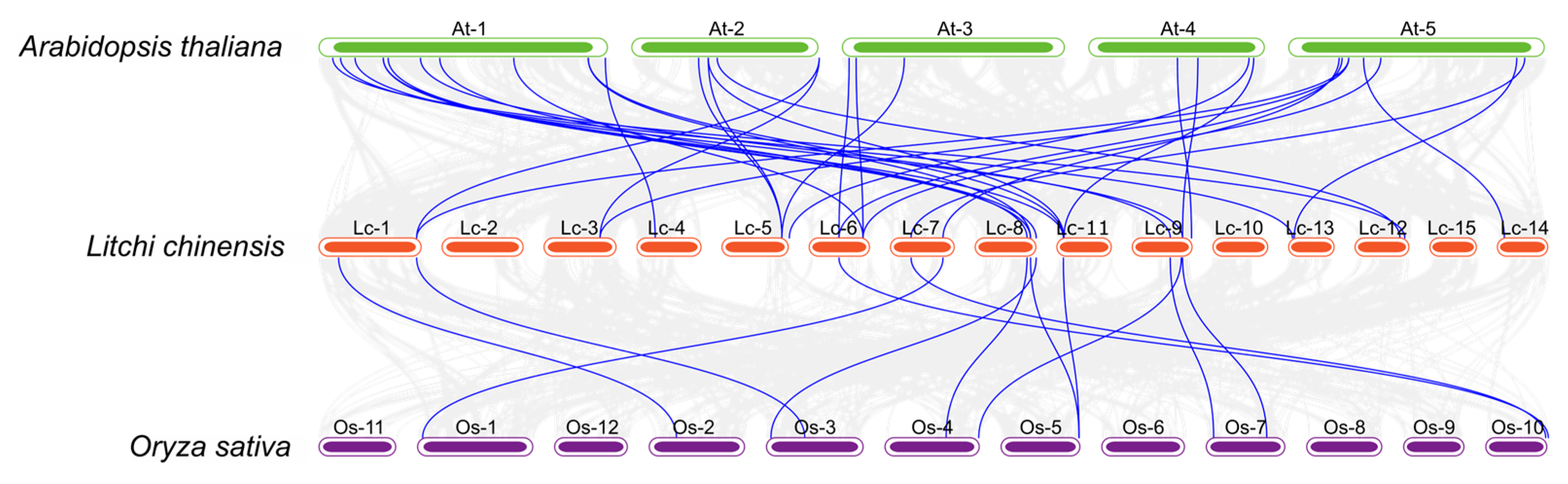 Horticulturae 11 01252 g004