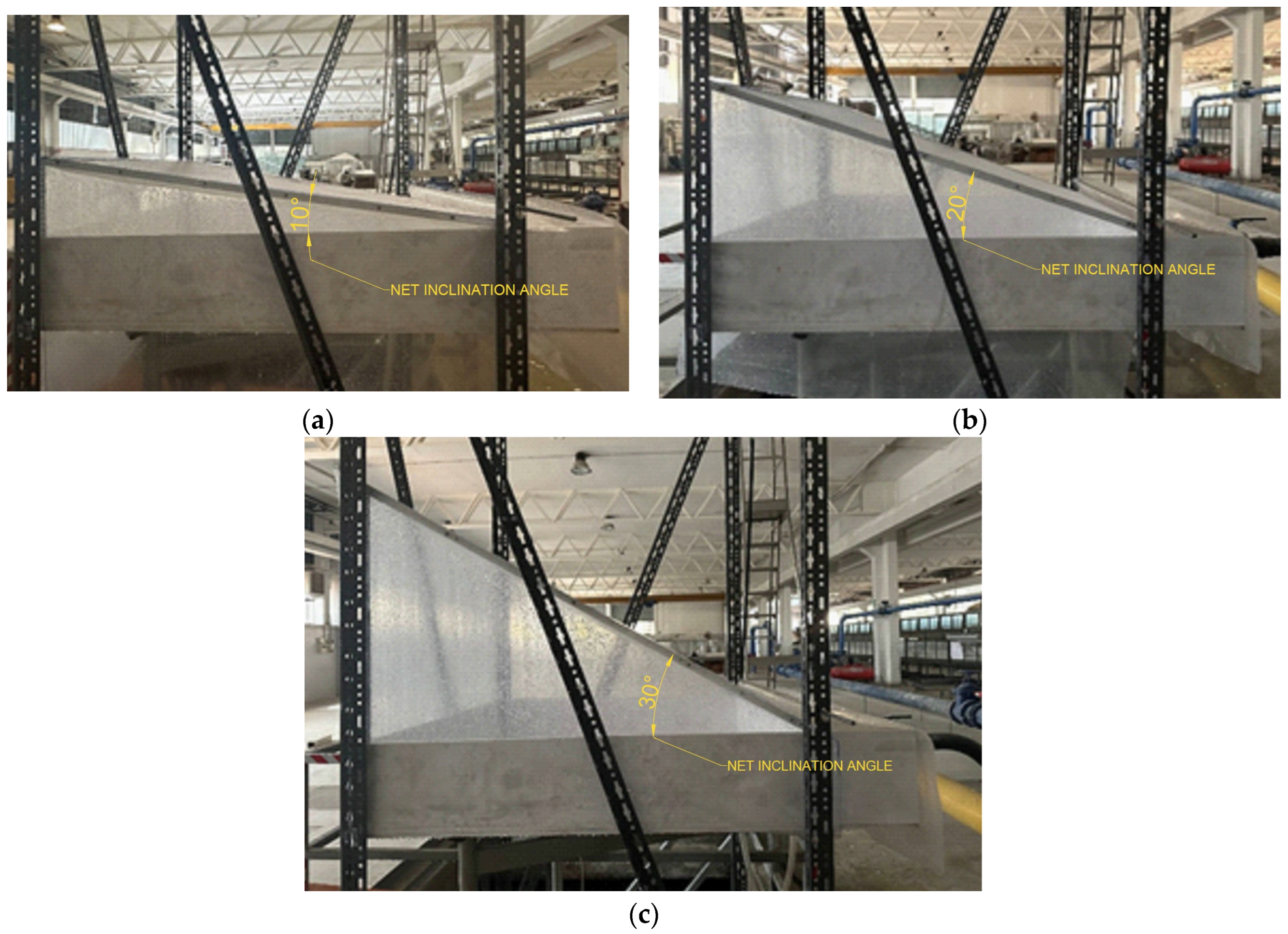 Horticulturae 11 01253 g005