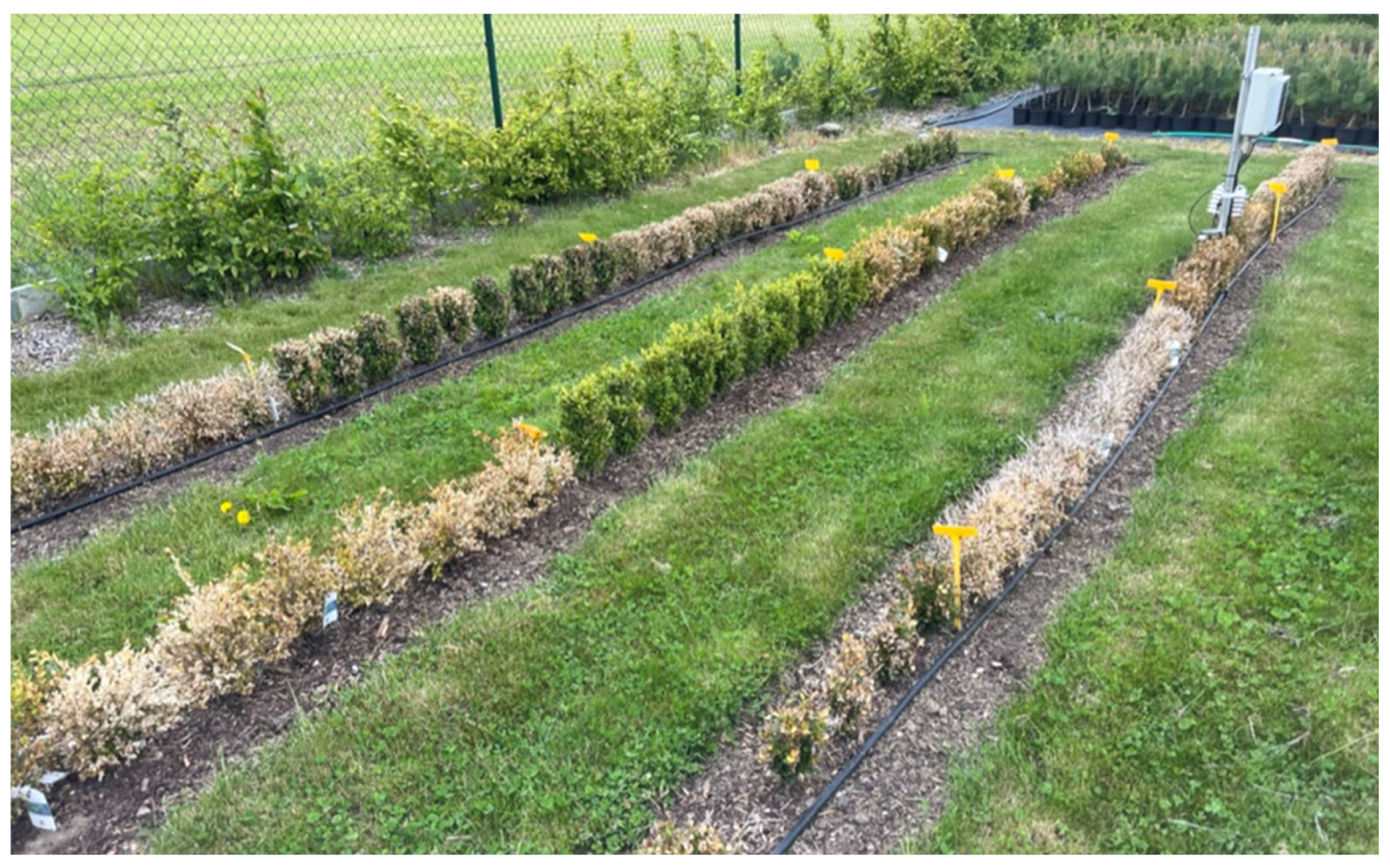 Horticulturae 11 01256 g002