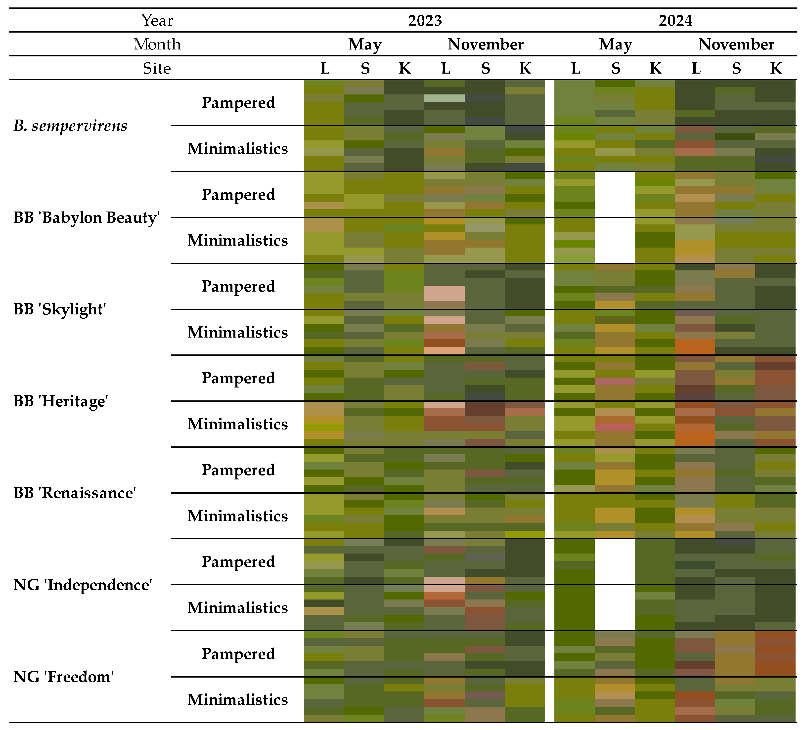 Horticulturae 11 01256 g004