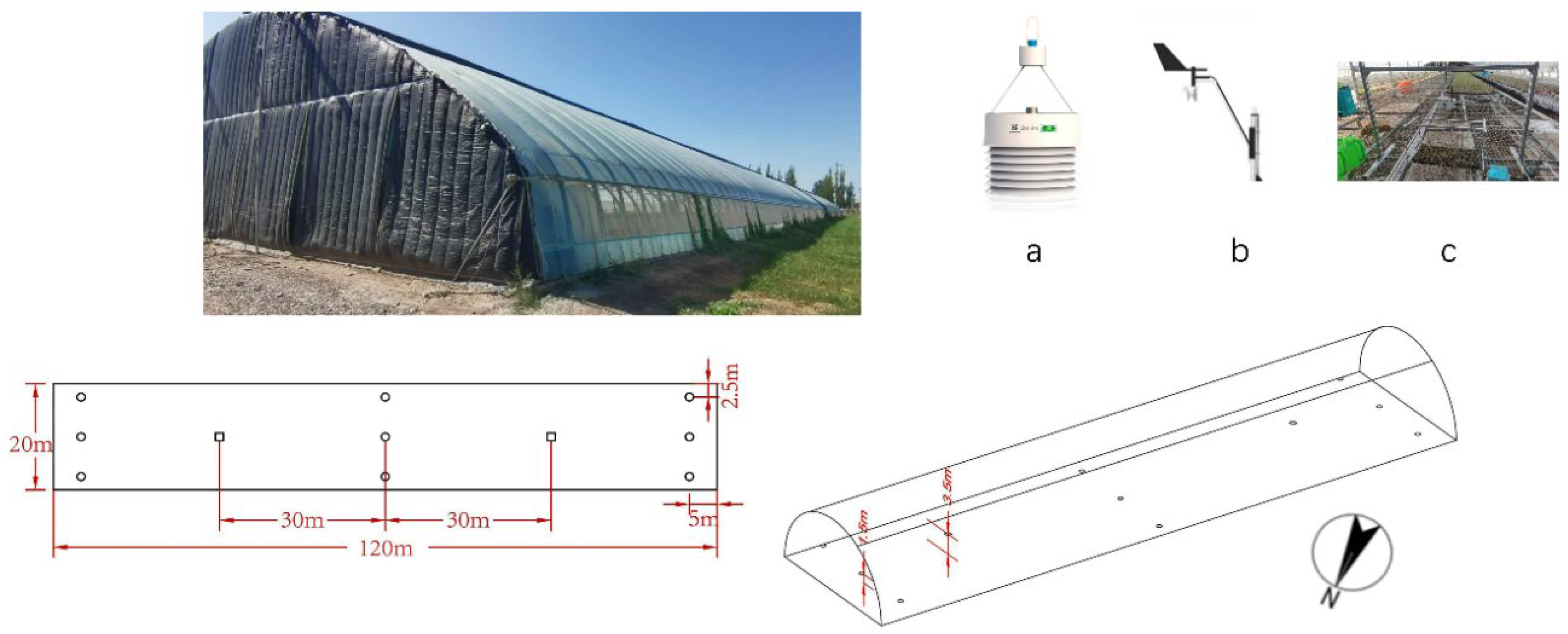 Horticulturae 11 01258 g001