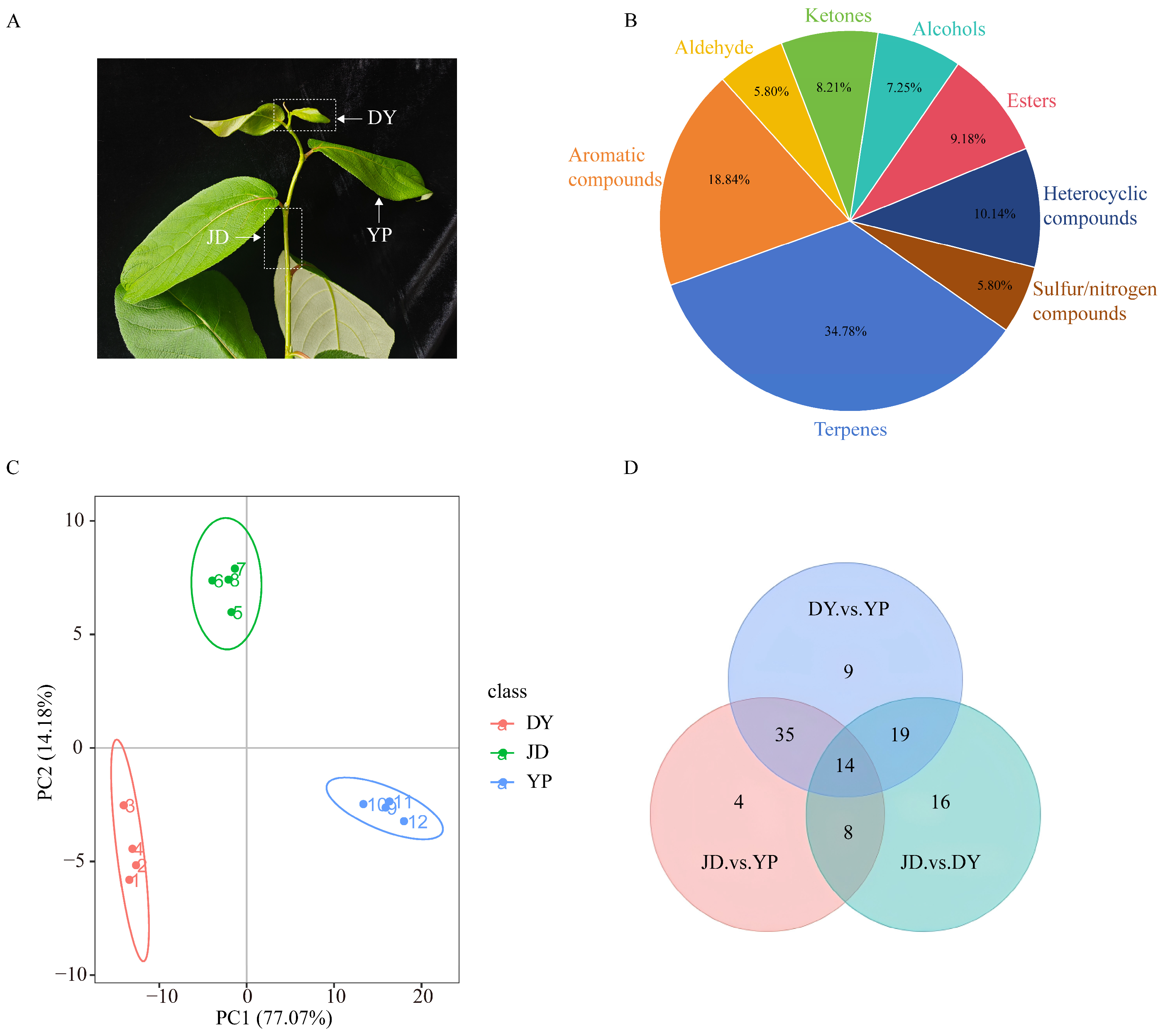 Horticulturae 11 01262 g001 Horticulturae 11 01262 g001