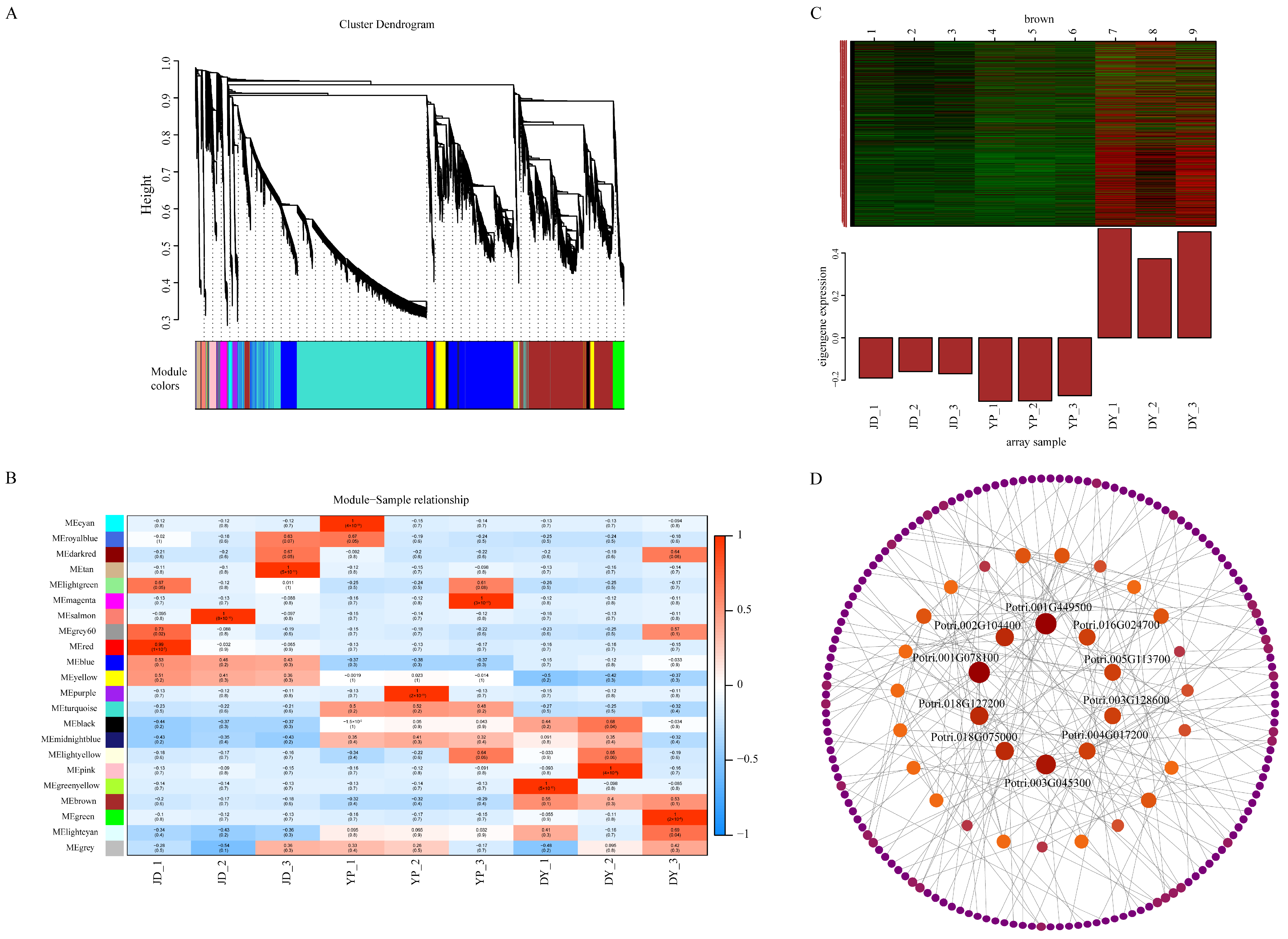 Horticulturae 11 01262 g006 Horticulturae 11 01262 g006