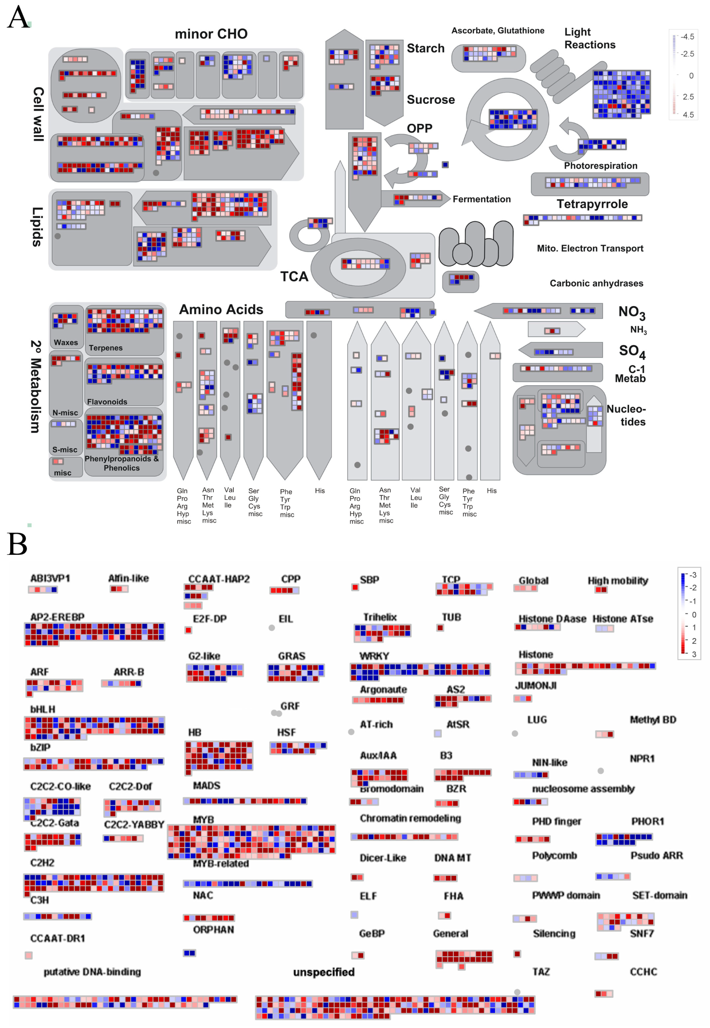 Horticulturae 11 01262 g007 Horticulturae 11 01262 g007