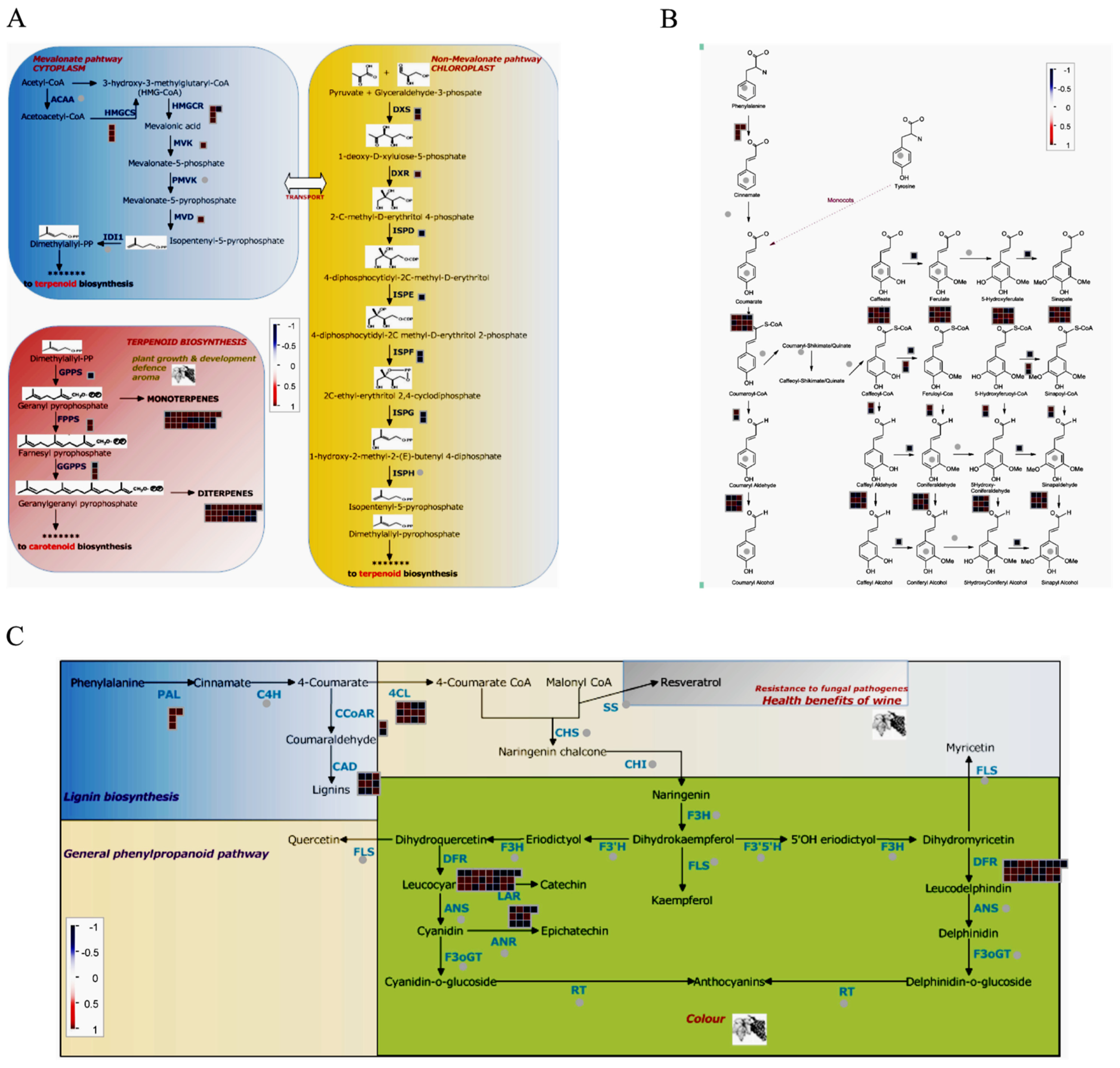 Horticulturae 11 01262 g008 Horticulturae 11 01262 g008