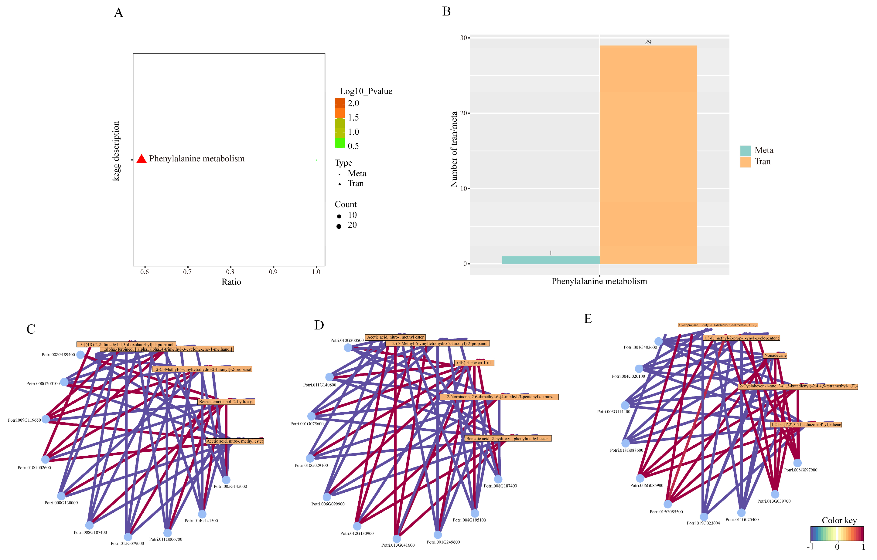Horticulturae 11 01262 g009 Horticulturae 11 01262 g009