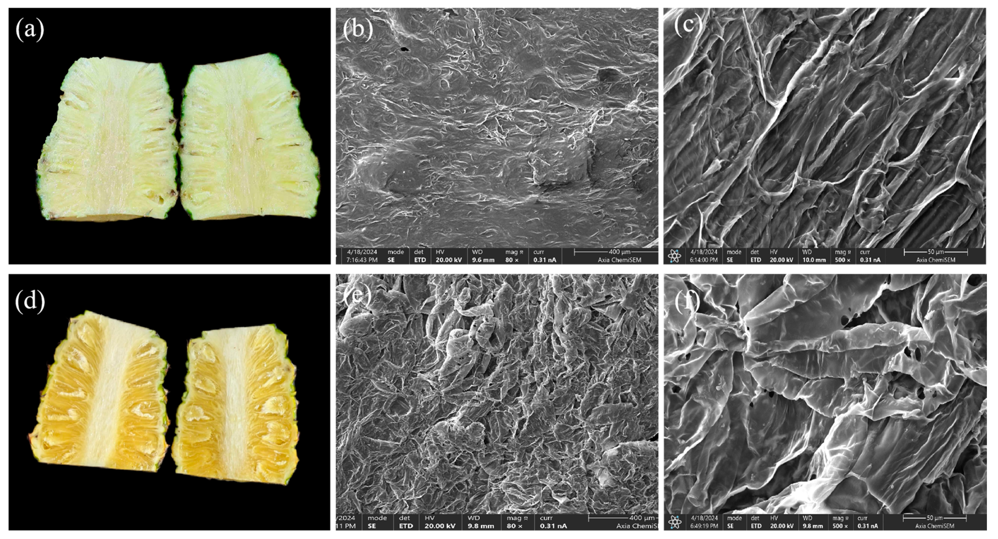 Horticulturae 11 01264 g004 Horticulturae 11 01264 g004