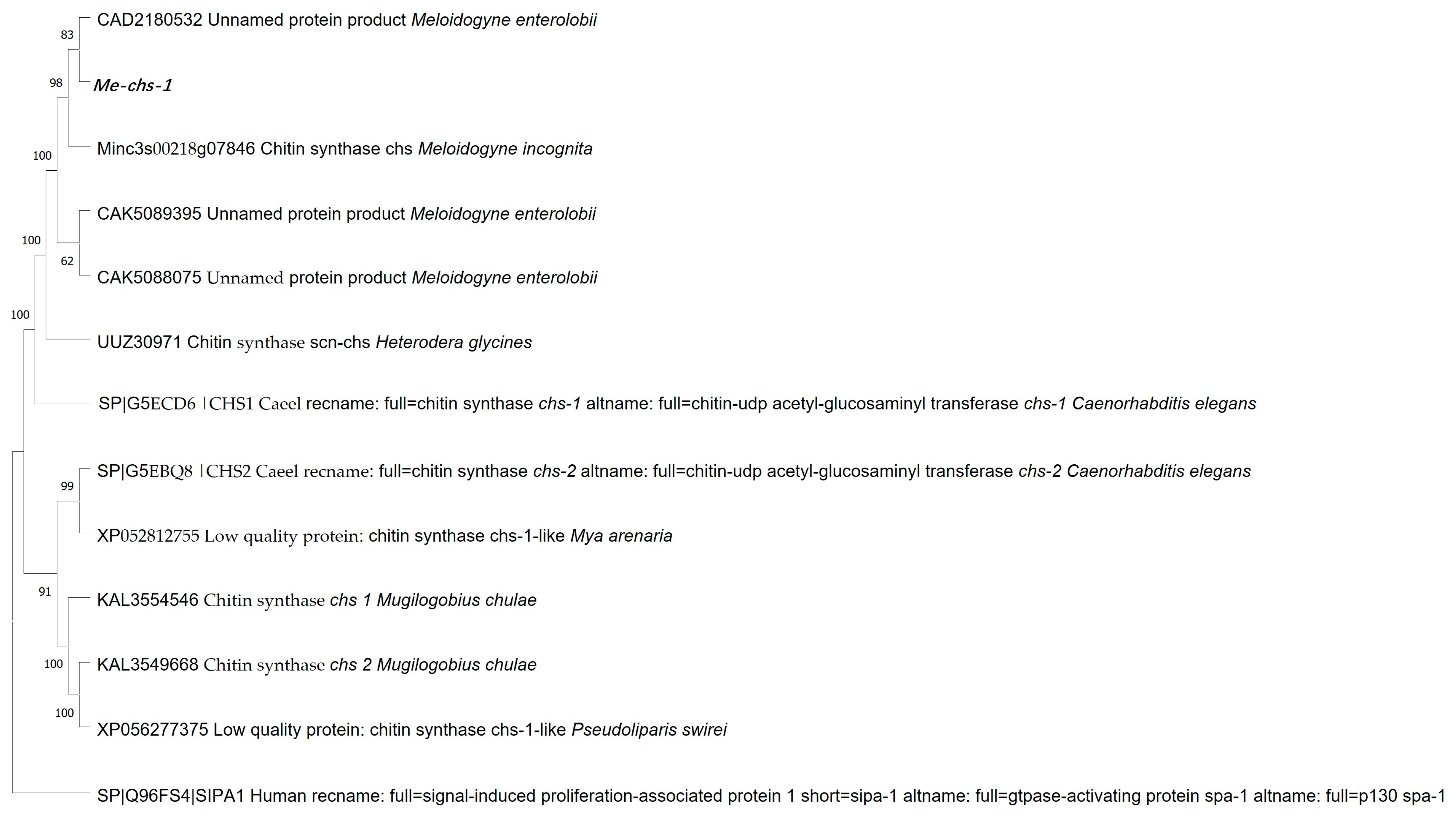 Horticulturae 11 01265 g002
